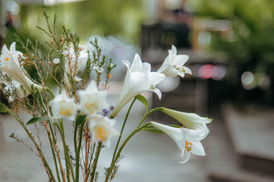 A gentle arrangement of white lilies and soft roses symbolizing peace A gentle arrangement of white lilies and soft roses symbolizing peace