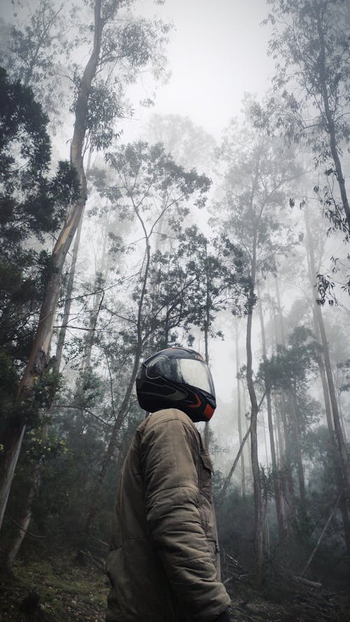 Person In Der Braunen Jacke, Die Helm Im Wald Trägt