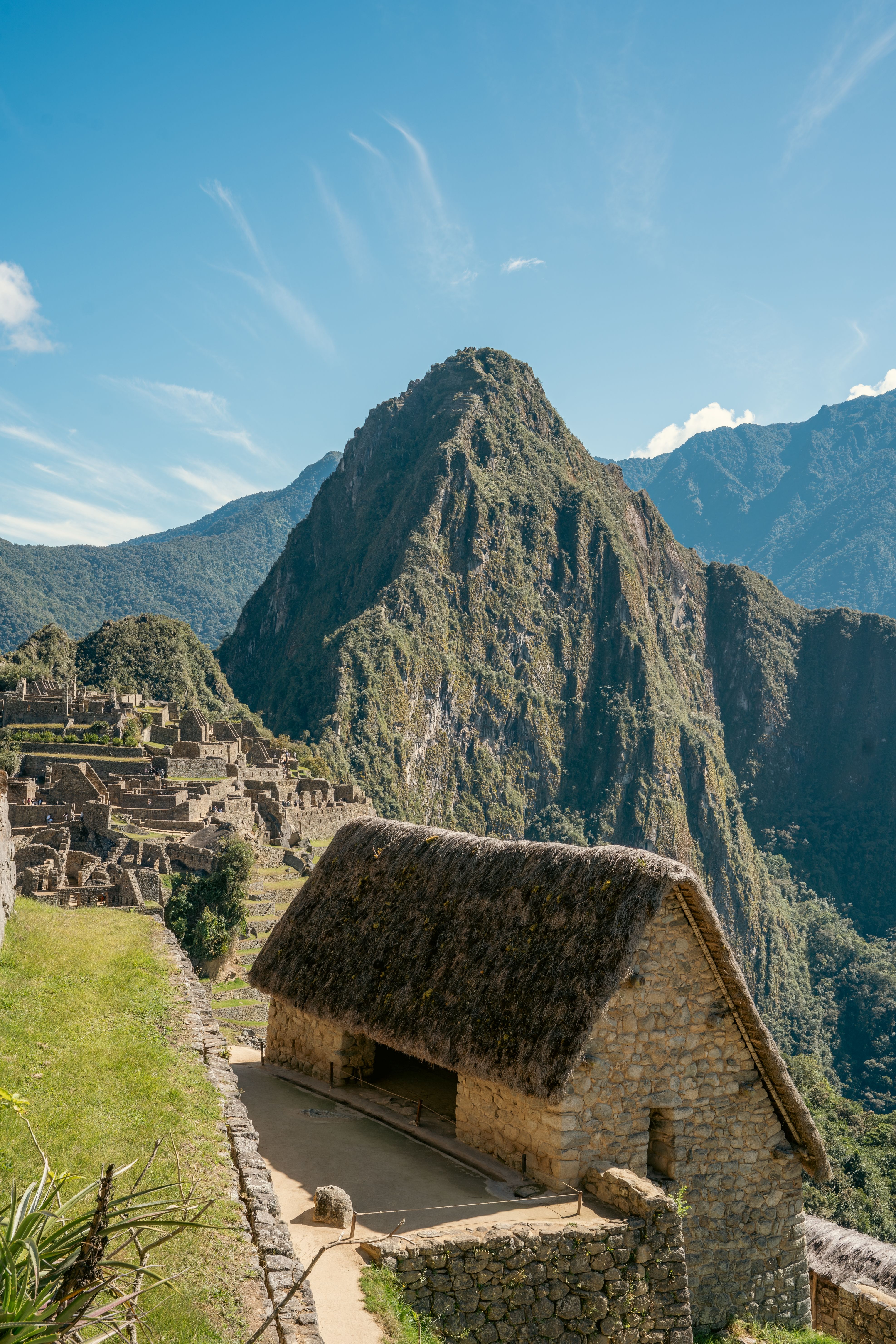 7.000+ Foto Shinra+and+inca Terbaik · Unduh Gratis 100% · Foto Stok Pexels