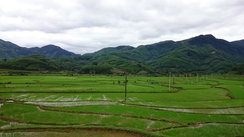 Free Lush green rice terraces stretch towards rolling hills under a cloudy sky, offering a serene natural landscape. Stock Photo
