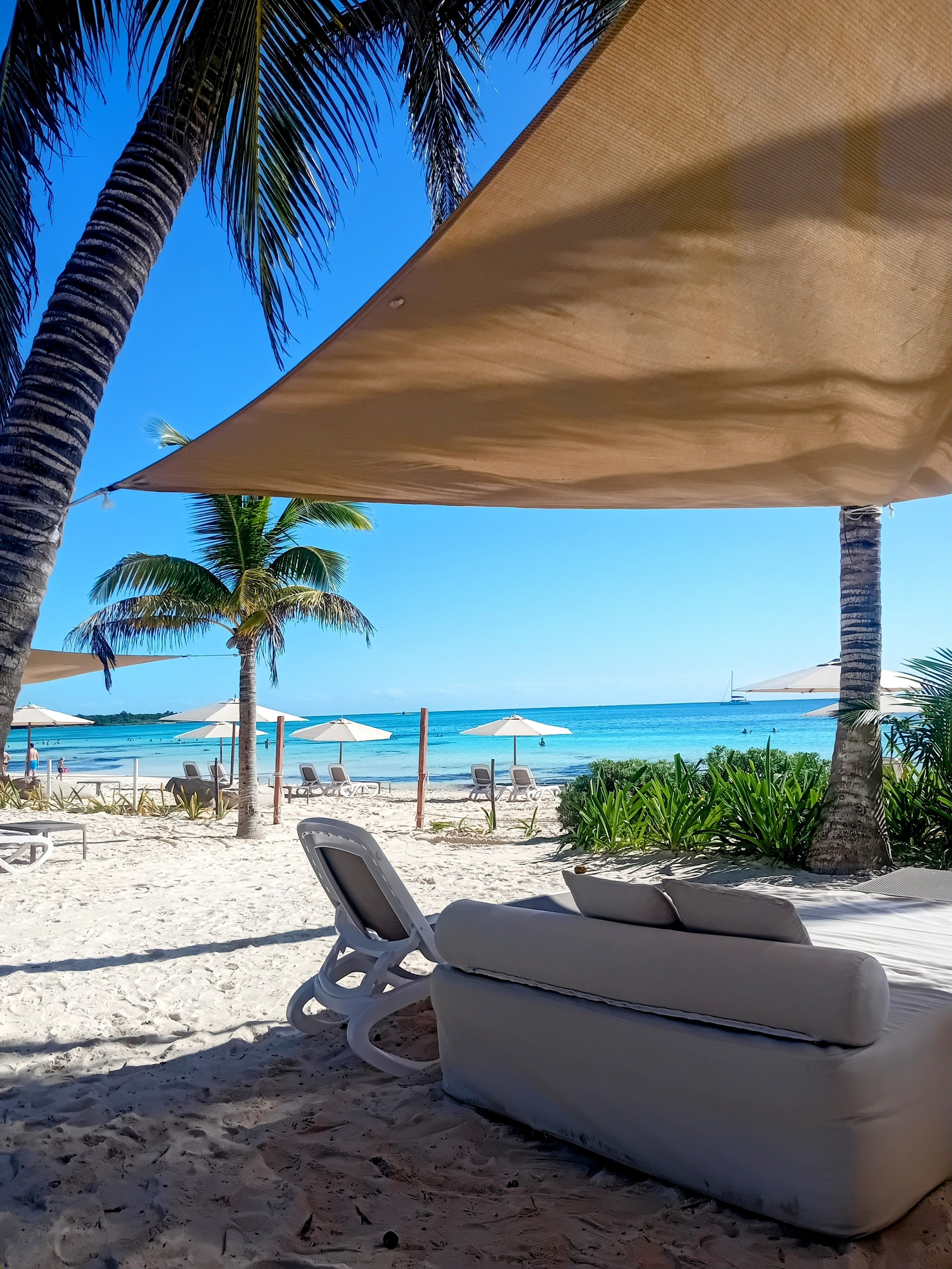 Plage tropicale au Mexique avec palmiers, transats et mer bleue, idéale en famille