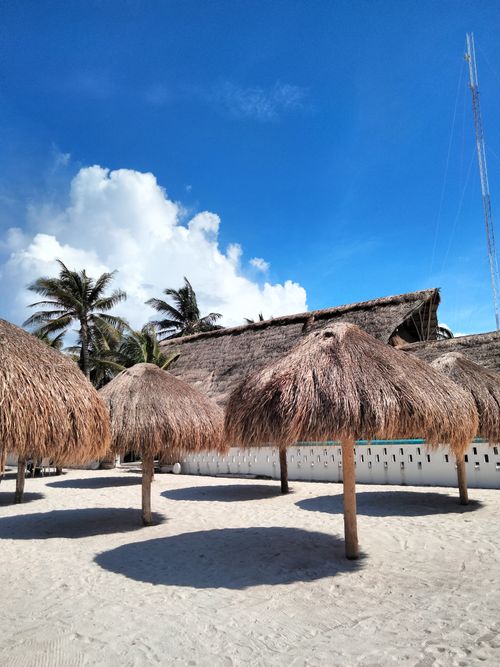 Free A serene tropical beach with thatched huts and palm trees under a bright blue sky. Stock Photo
