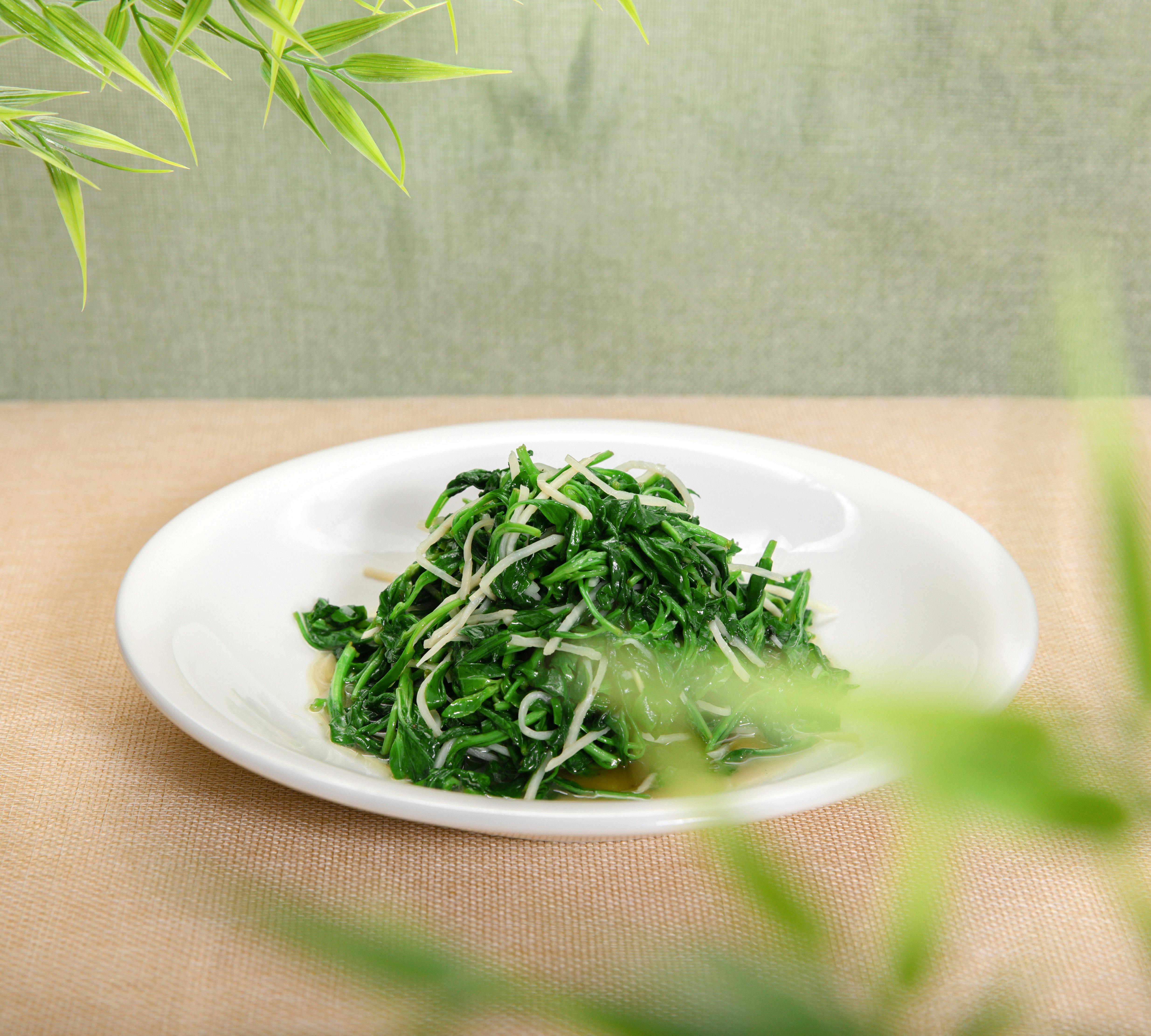 A fresh spinach and bean sprout salad presented elegantly on a white plate with a natural backdrop.