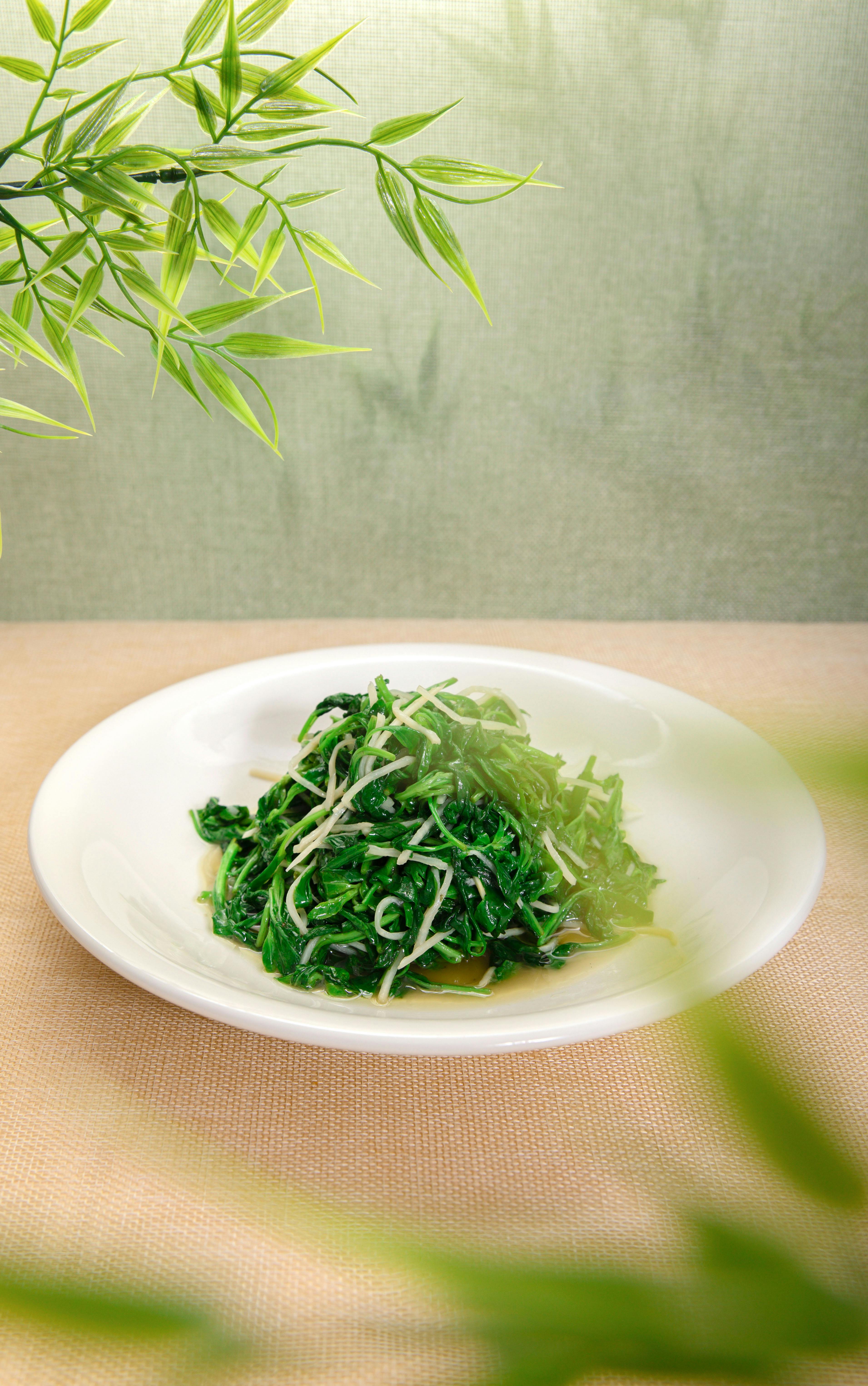 Appetizing green salad featuring fresh spinach and sprouts on a white plate.