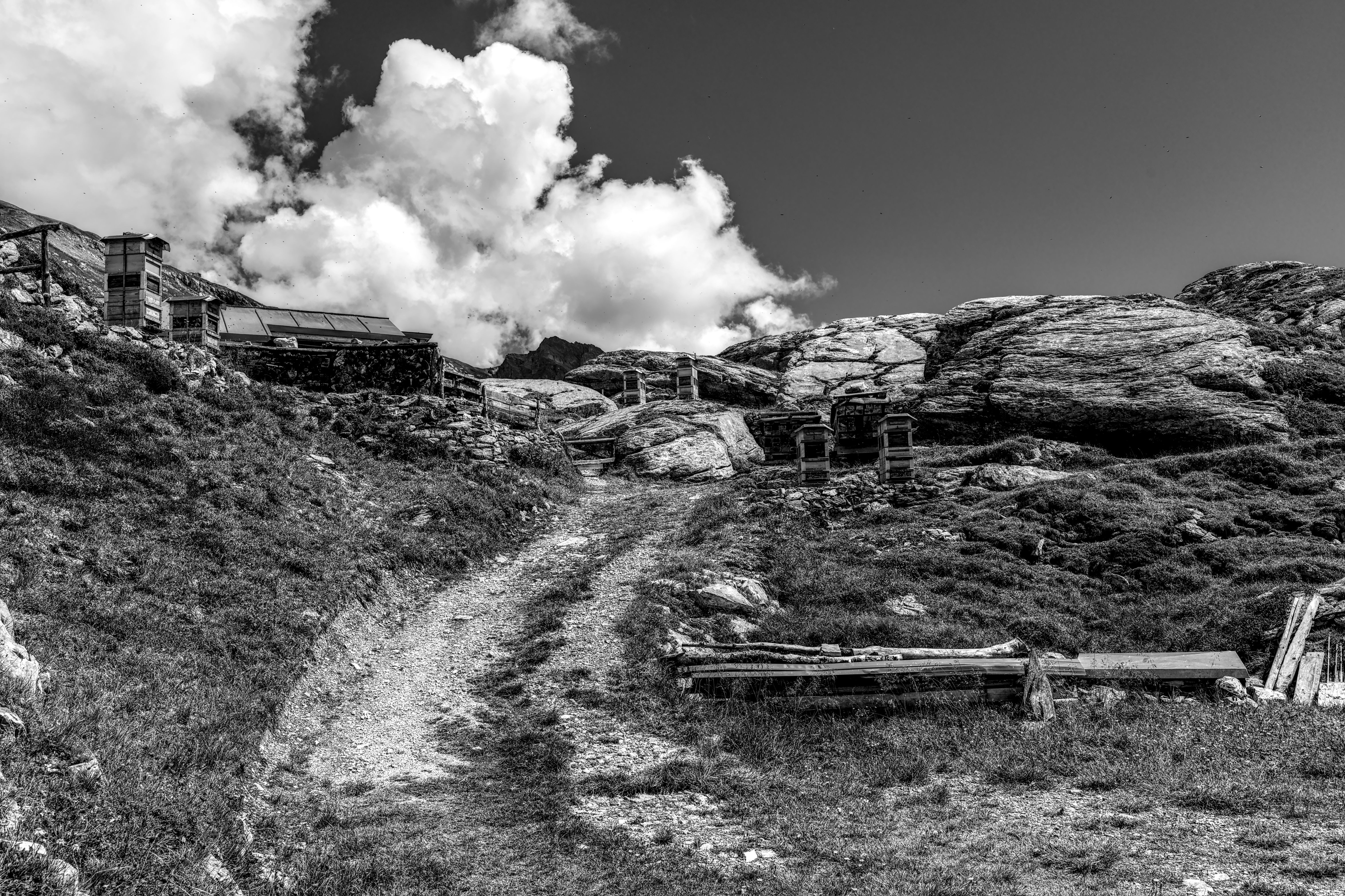 Scenic Swiss Alps Mountain Trail in Black and White · Free Stock Photo