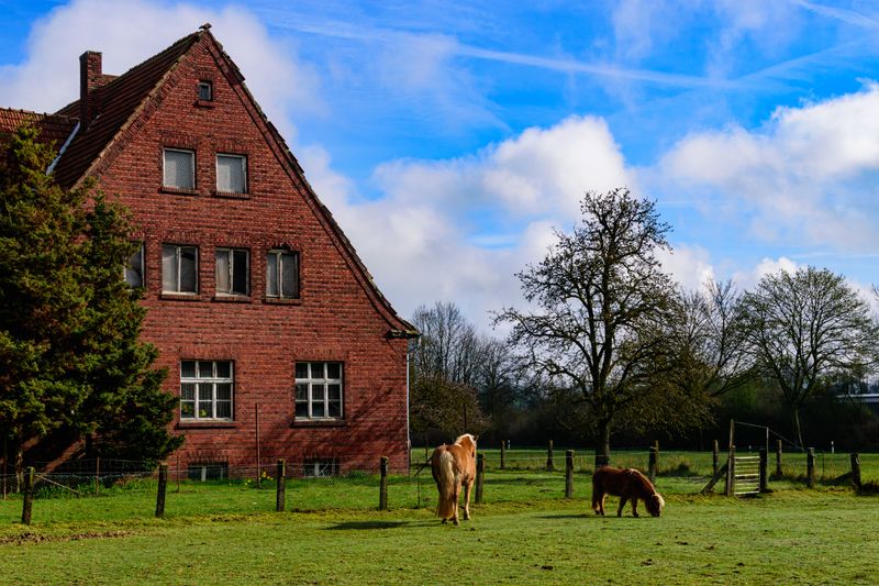 Bauernhof Gebäude Pferde Weide