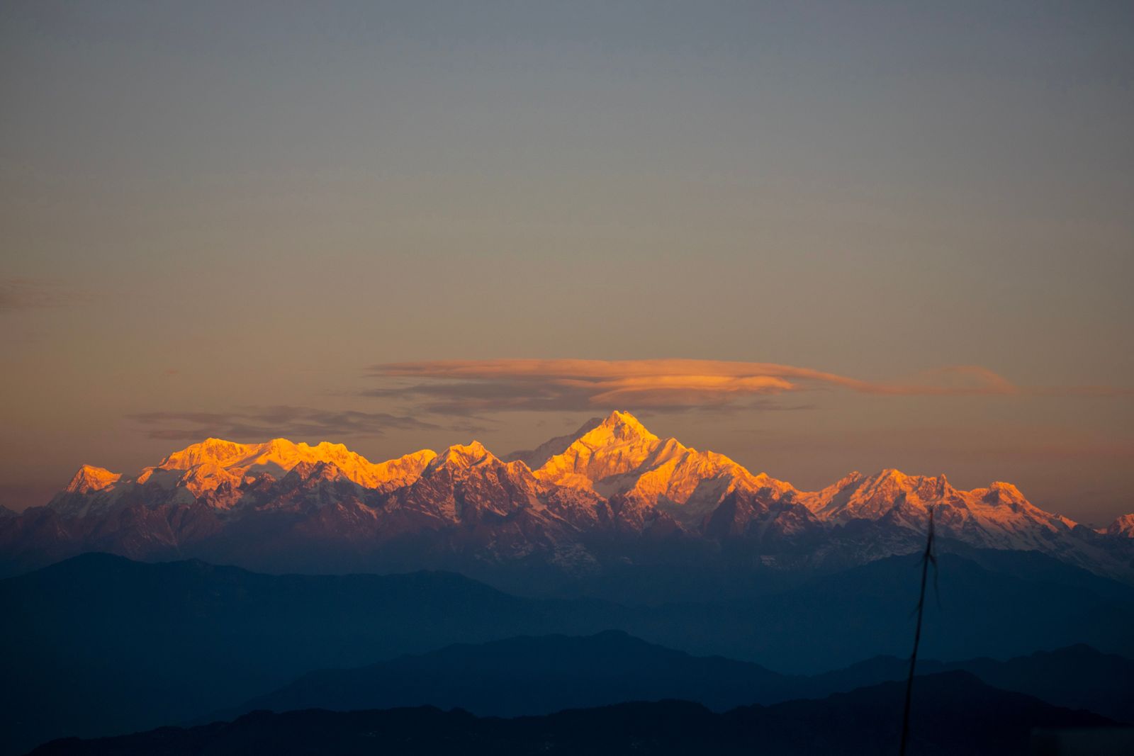 Kanchenjunga's peaks lit orange at sunrise above dark blue ridges, seen from Rishop in the Kalimpong hills