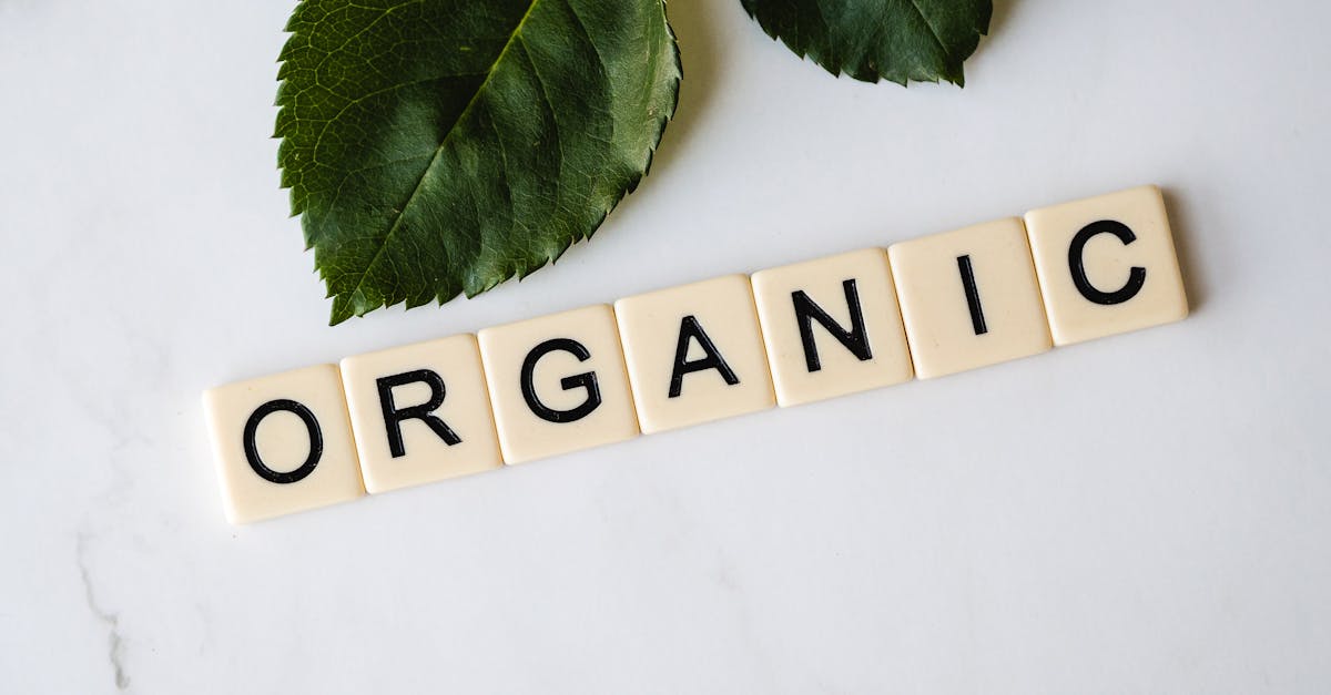 Tout Savoir sur le Carrelage Écologique