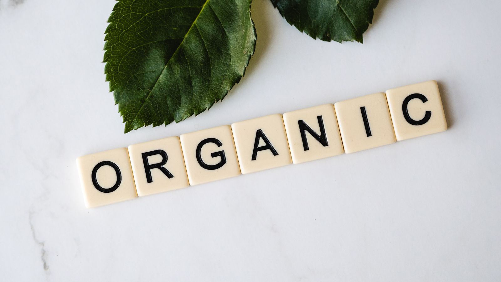 Nápis ORGANIC — bio certifikace nezaručuje vysoký obsah polyfenolů, ale říká něco o způsobu pěstování oliv.