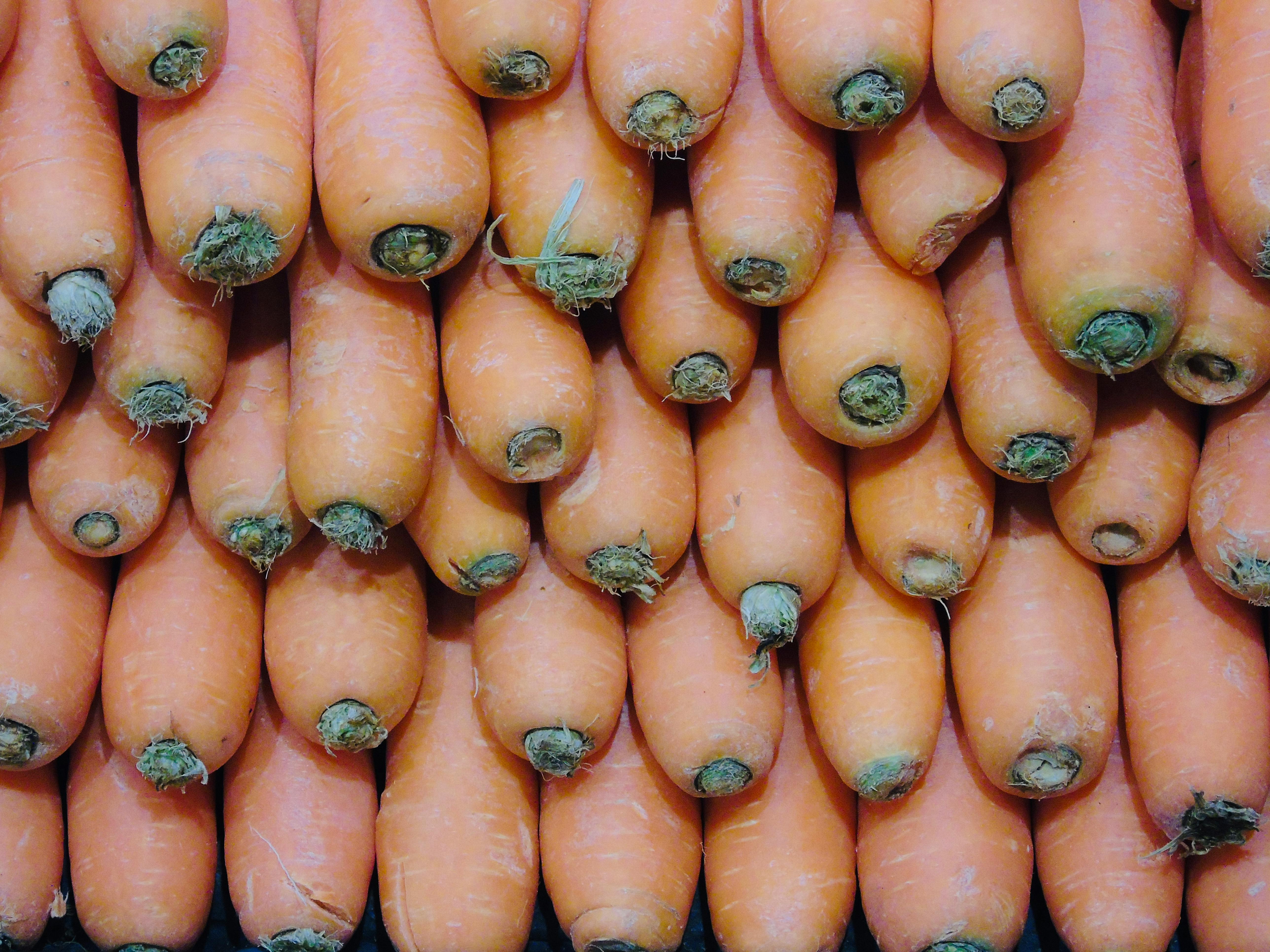 Photo by Anne-marie _ on Pexels