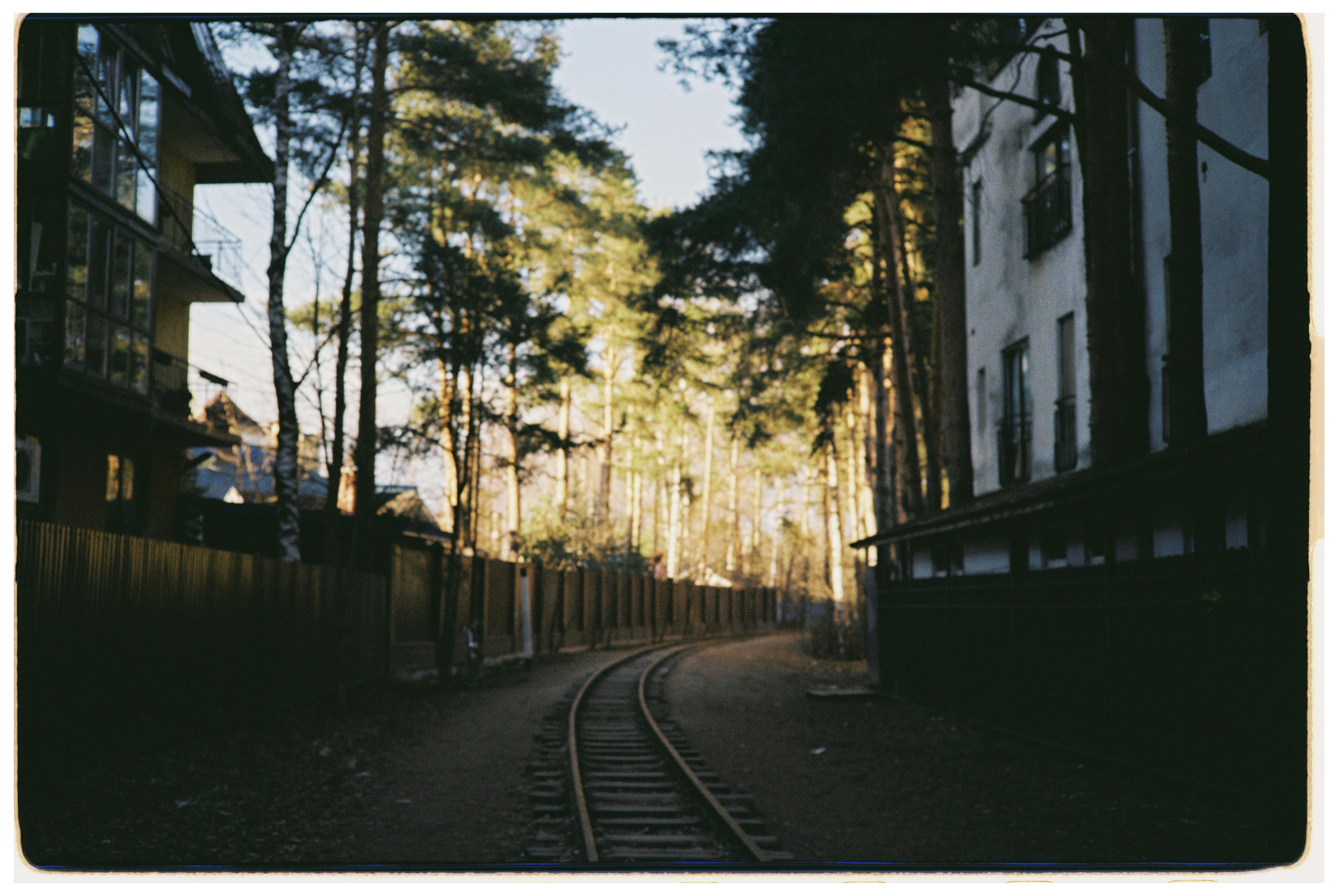 Woodland