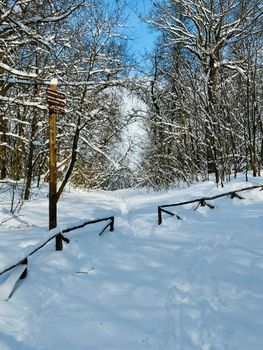 Snow-covered path in a serene forest in Bashkortostan, Russia, during winter, with clear blue sky.