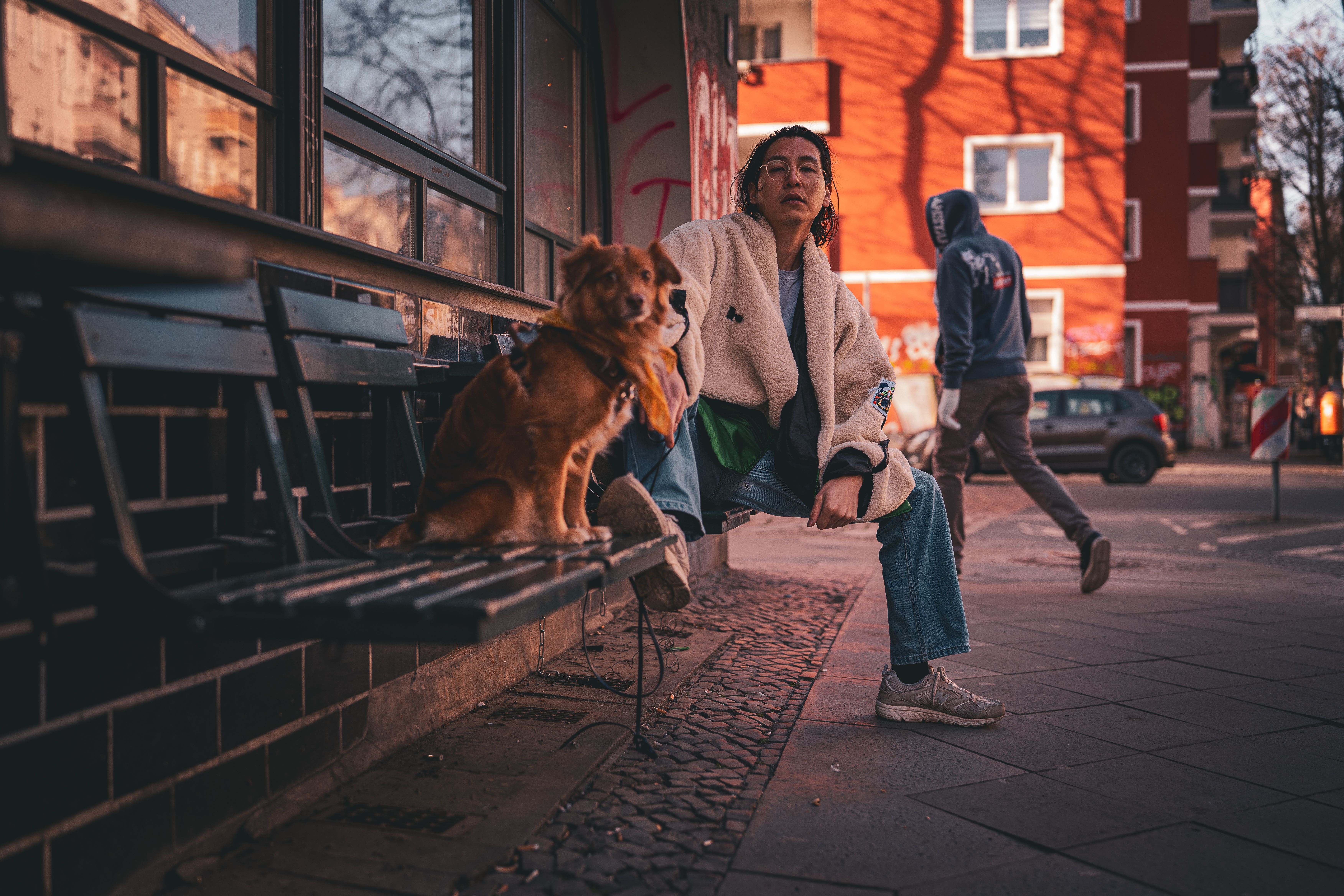 pet insurance germany — Photo by Silvio Pelegrin on Pexels