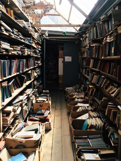 Unveiling Hidden Gems Among the Most Talked-About Books