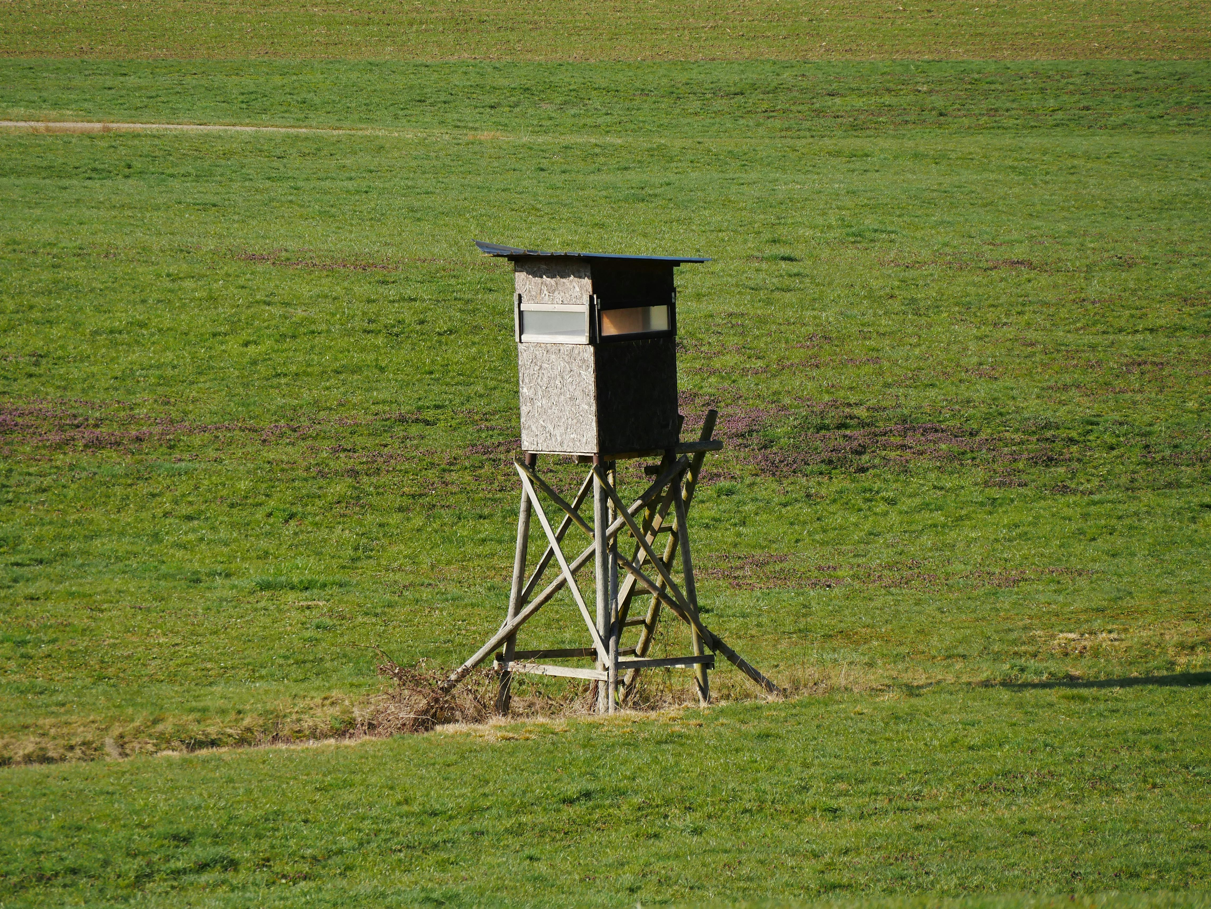 Wooden hunting stand overlooking a vast green field, ideal for wildlife observation.