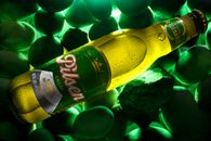 Close-up of a Pilsen Callao beer bottle with condensation against a green backdrop.