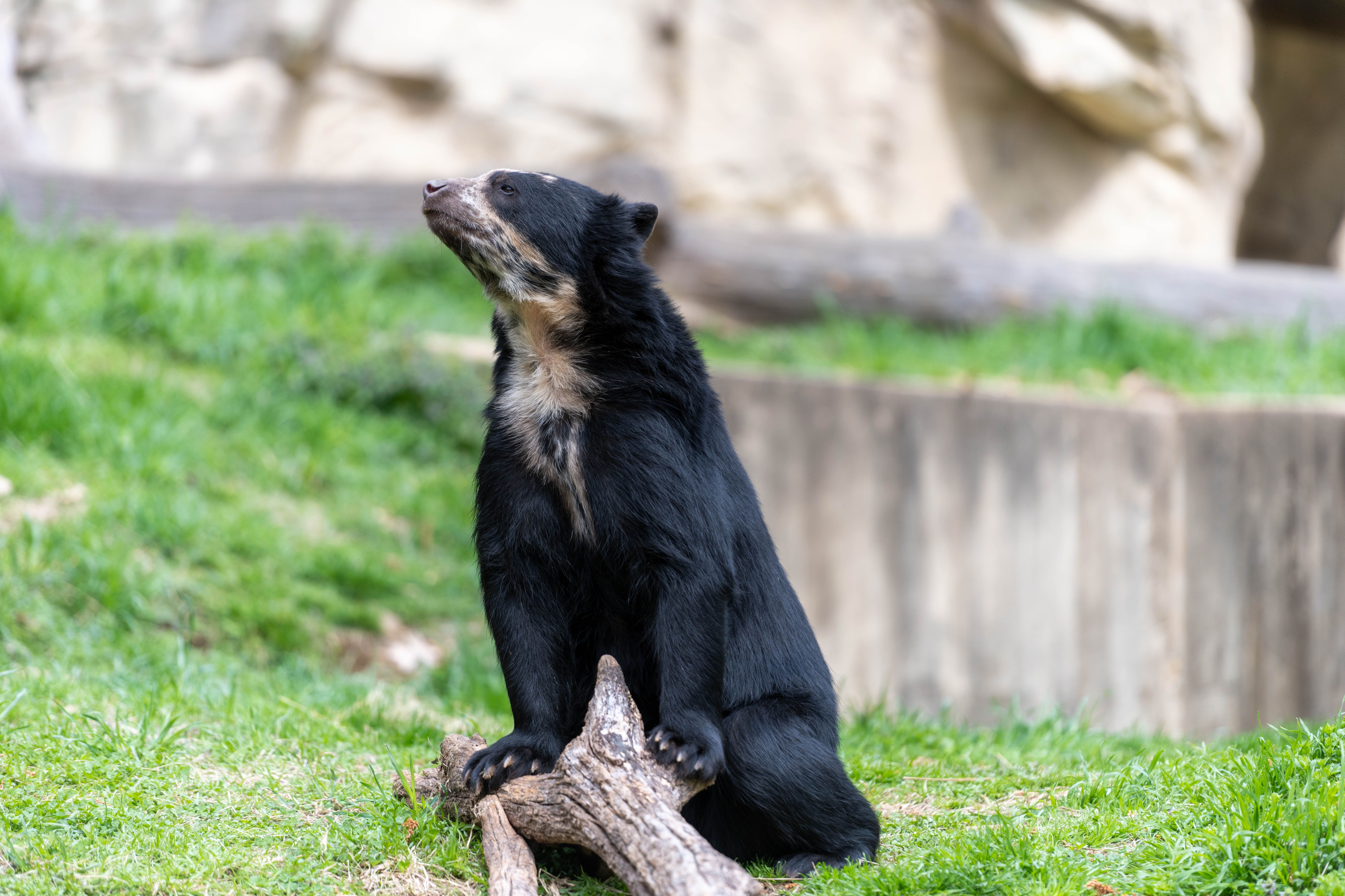 Smithsonian National Zoological Park