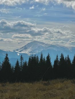 Breathtaking view of Carpathian Mountains with snow-capped peaks and lush pine forest.