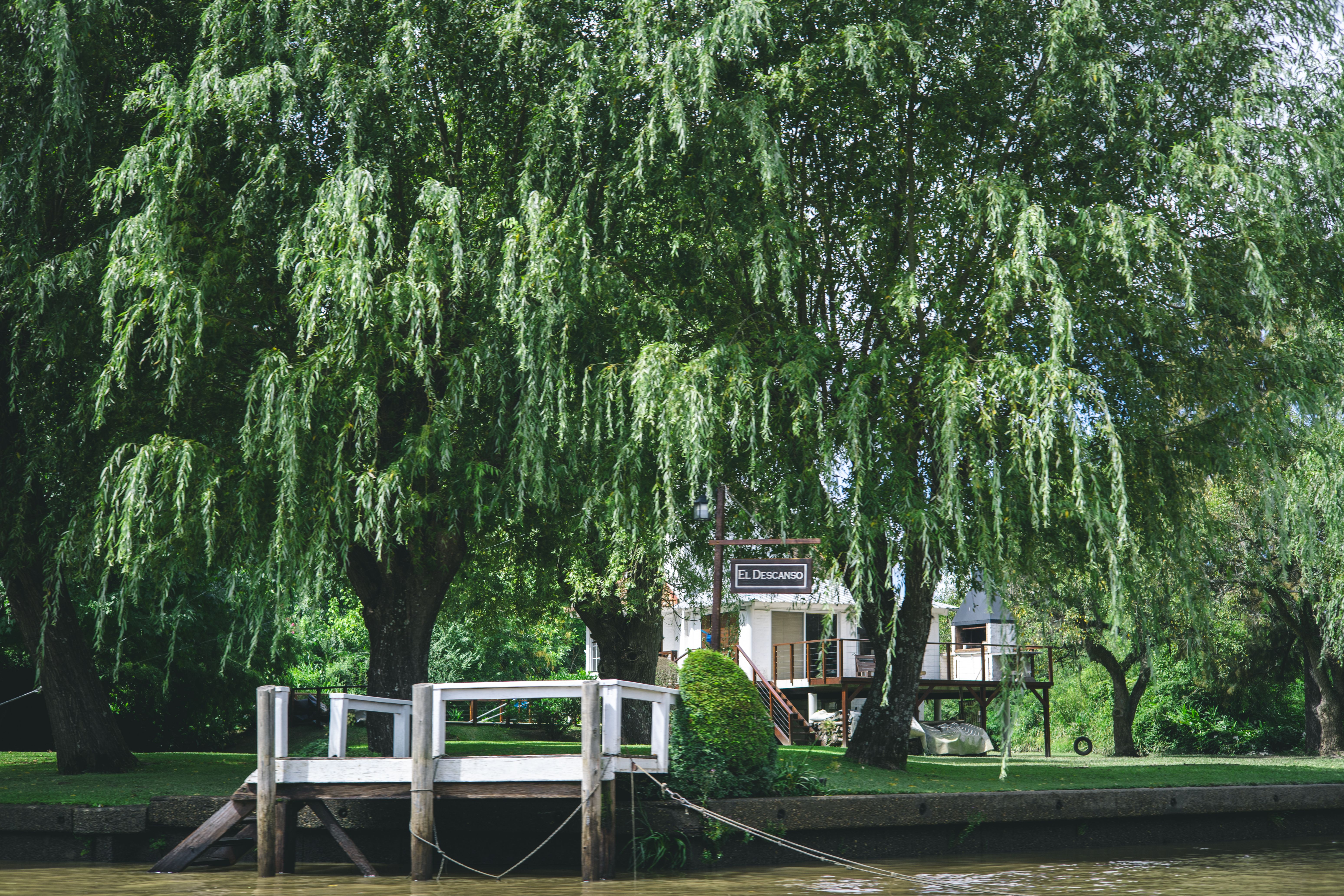 Scenic Riverside View with Trees and Dock · Free Stock Photo