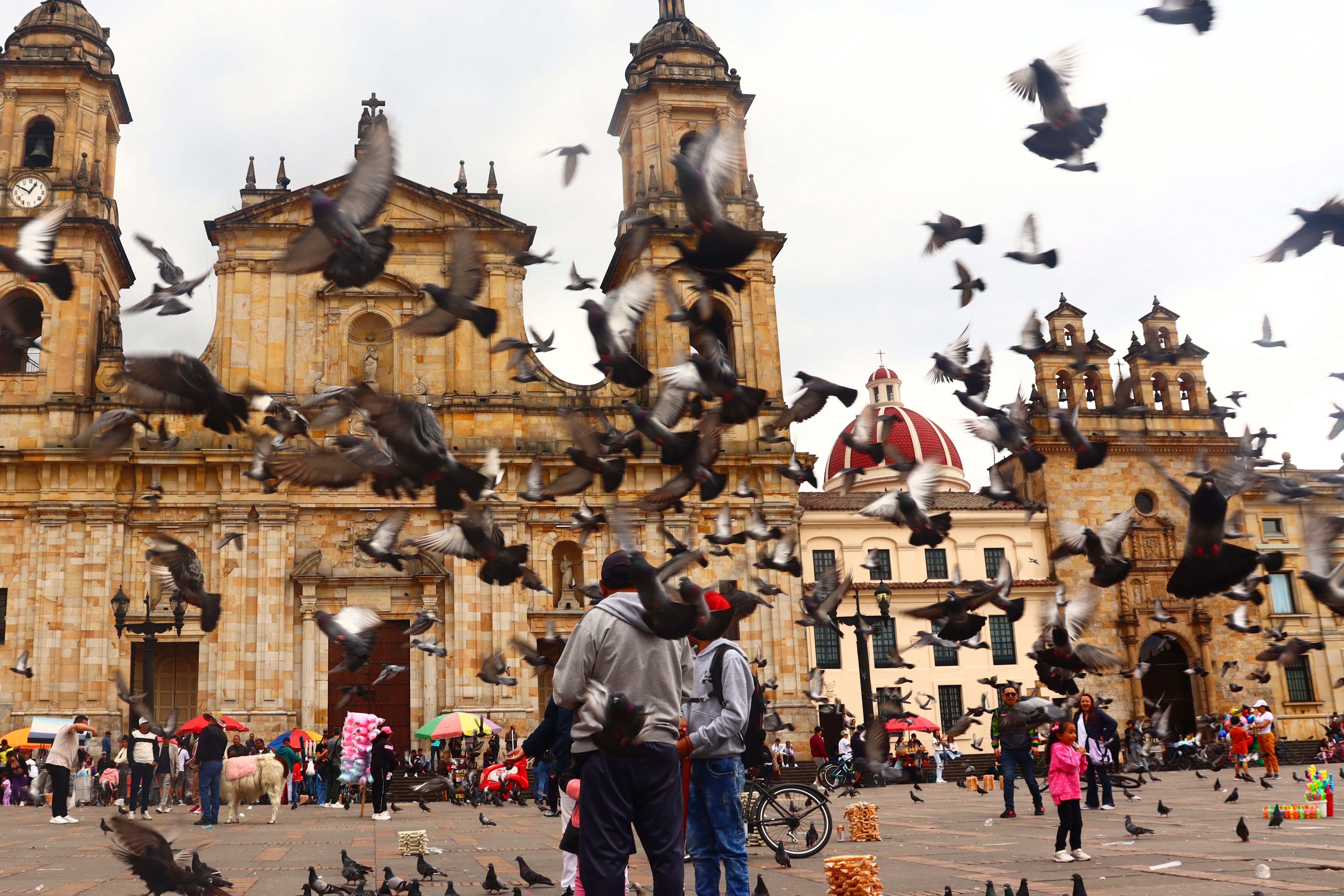Bogotá