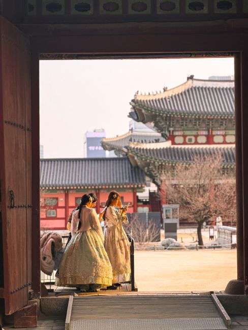 From 'The East Palace' to 'Hope': What makes K-creatures stand out