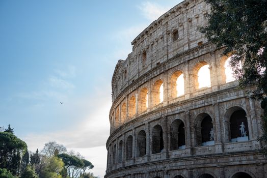Rome, Italy photo 4