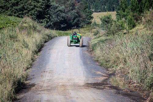Free A tractor travels along a rural dirt road surrounded by lush greenery on a sunny day. Stock Photo