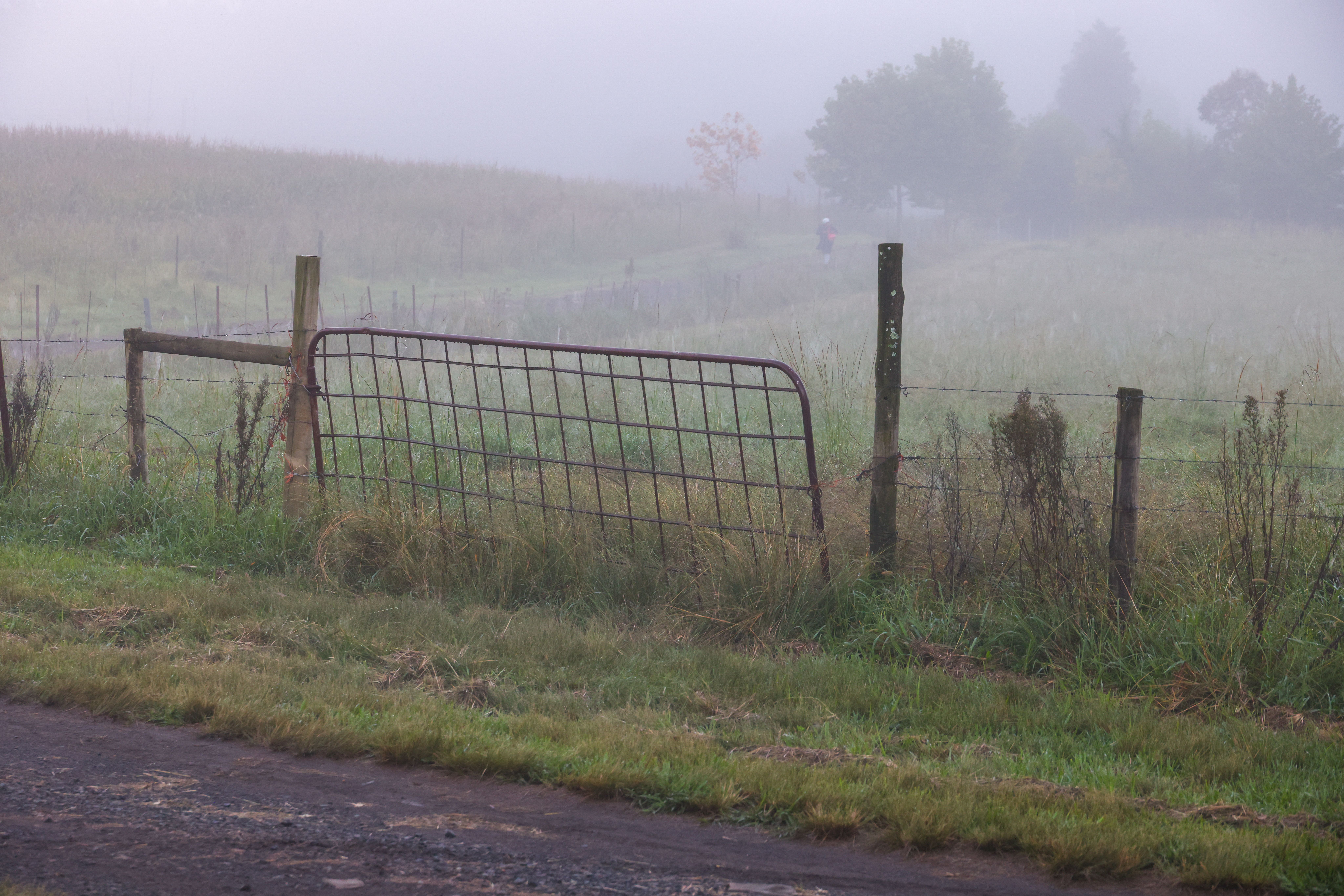 A sunlit farm gate on a quiet country road in Queensland