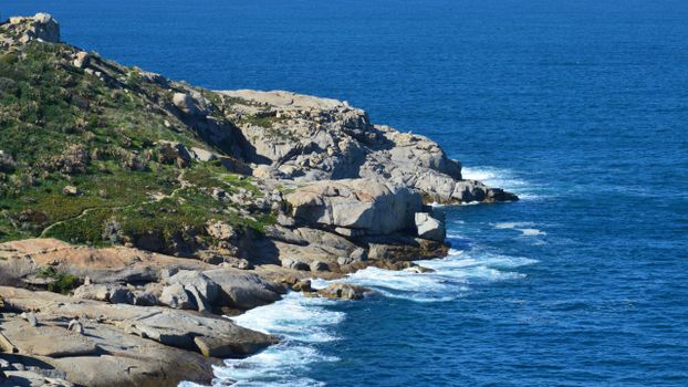 Explore the rugged beauty of Calvi's coastline in Corse, France, with its striking rock formations and azure sea.