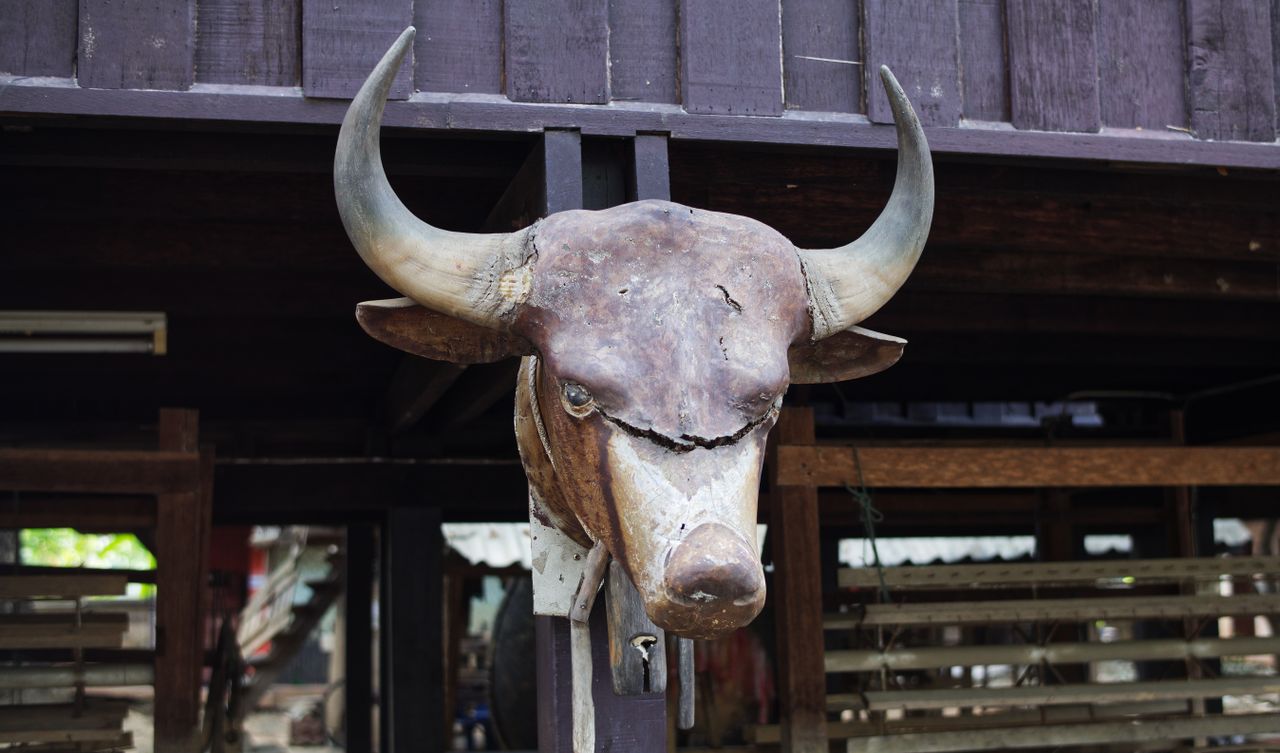 close up of a rustic bull head wall decor at an outdoor location in ch