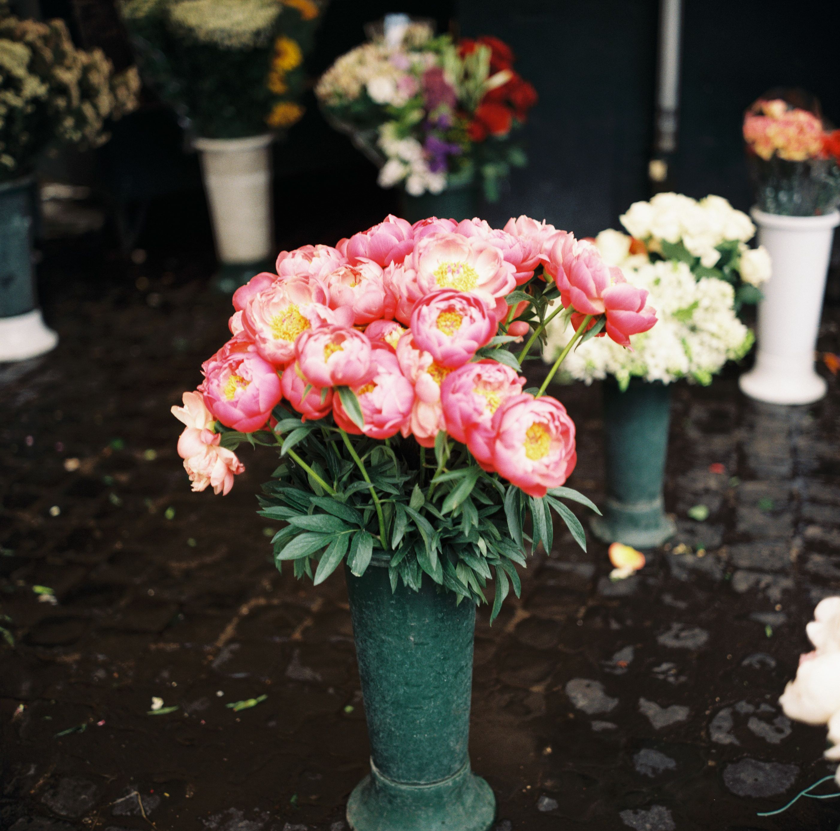 Campo de' Fiori Market