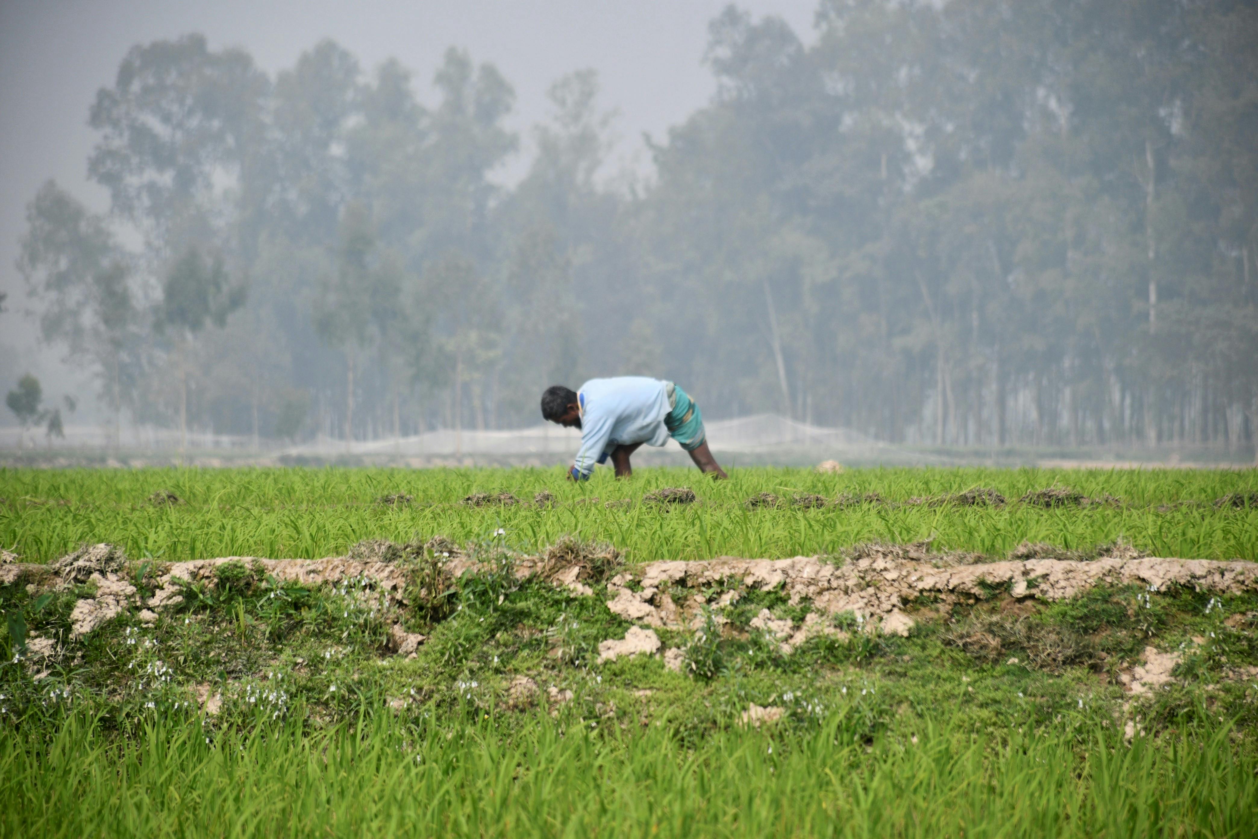 Many farmers utilize life insurance for farm financing — Photo by masudar rahman on Pexels