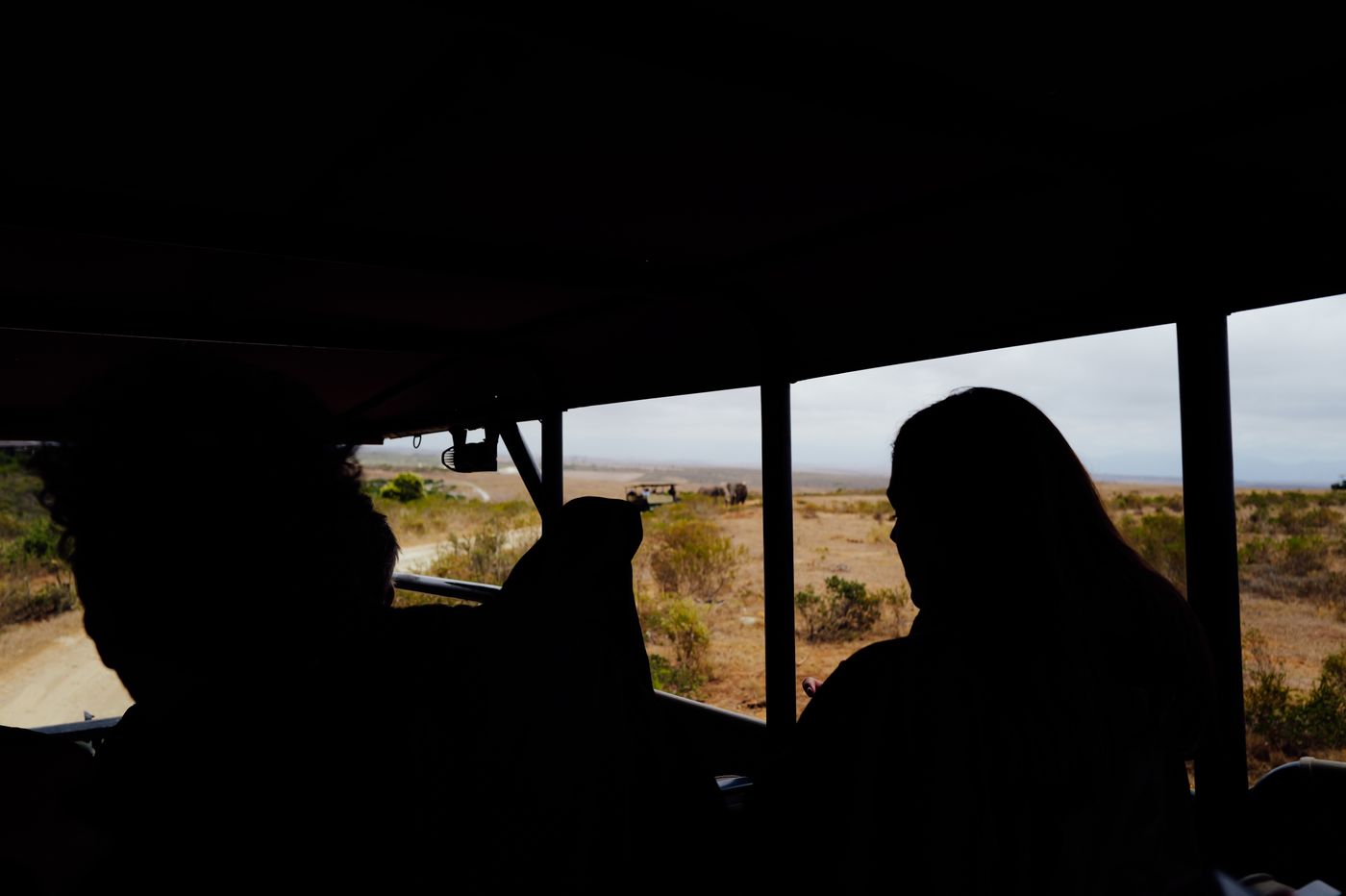 Silhouettes of travellers watching wildlife from an open safari vehicle at dusk