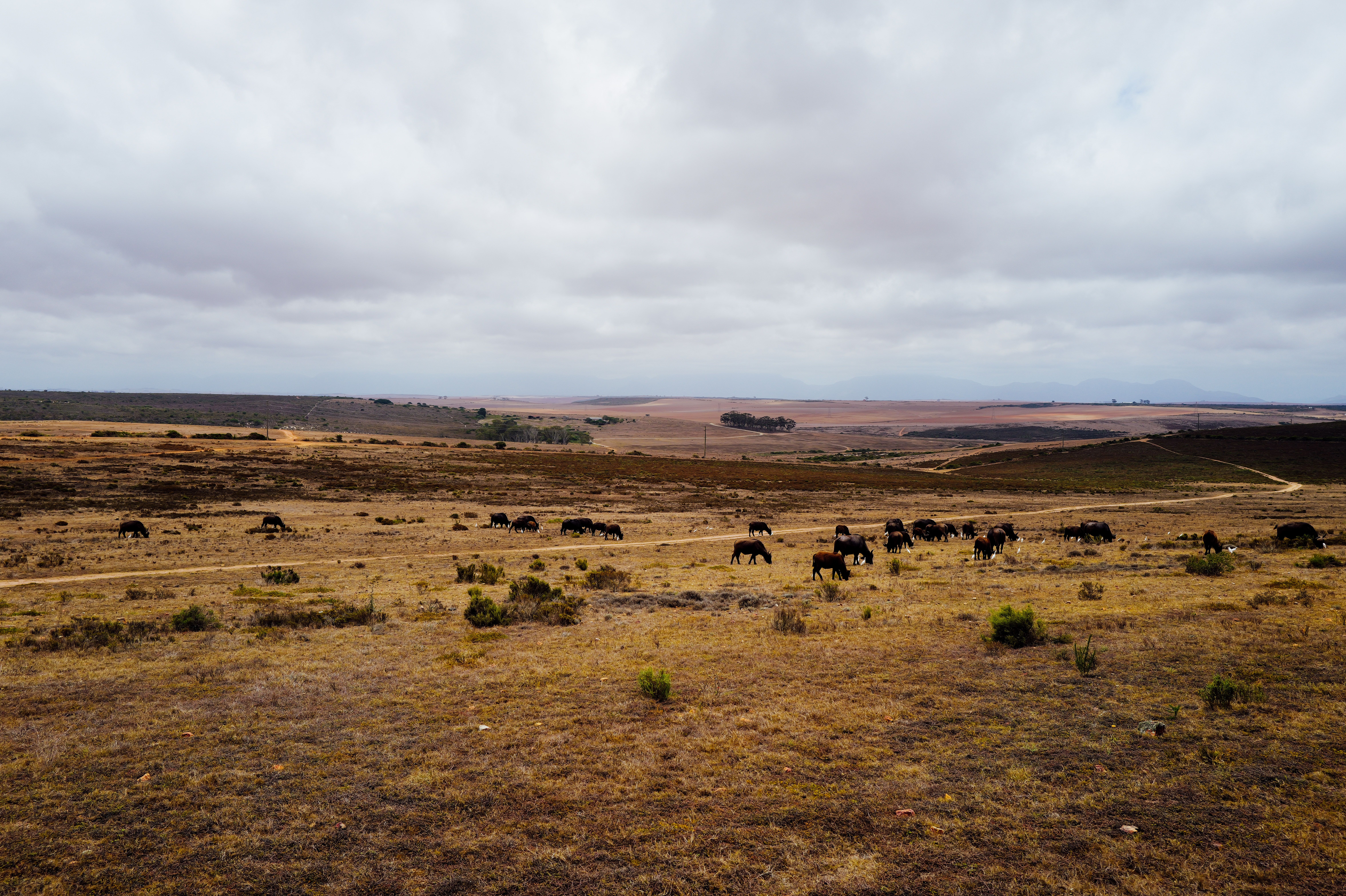 Wide open landscape at Soaring Ranch