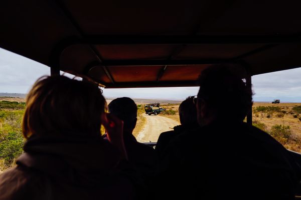 Private Transfer in Rajasthan