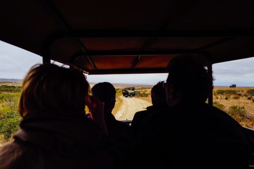 Free Group of tourists on a safari, observing wildlife in open terrain under a protective canopy. Stock Photo