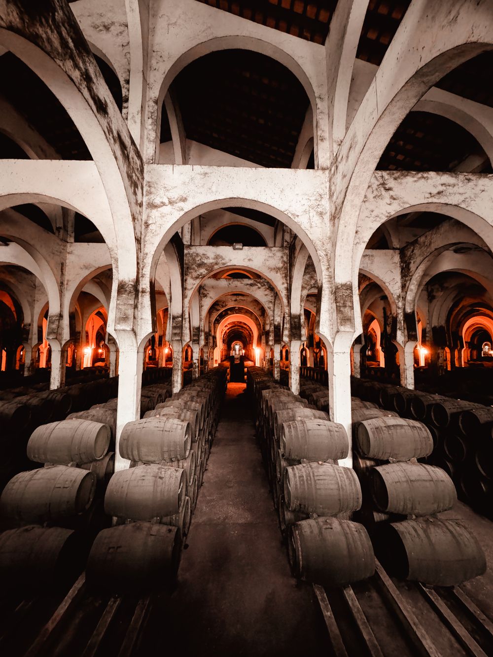 Cava histórica de vino de Oporto con columnas arqueadas y barricas en hileras
