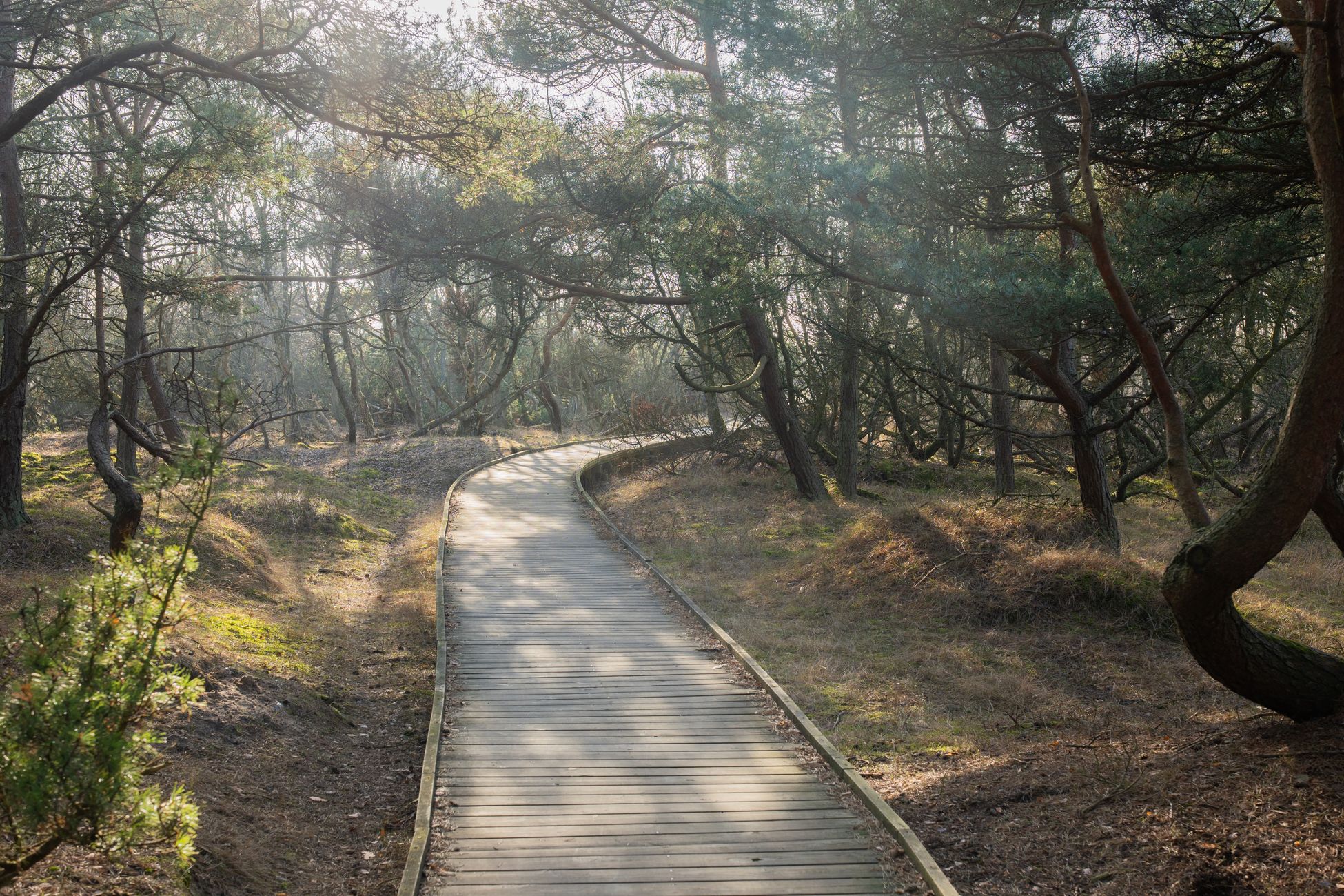 Half miljoen euro voor natuurpaden en uitkijktorens