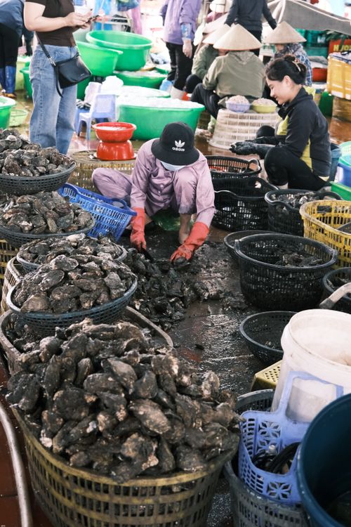 Free A bustling fish market scene with vendors organizing fresh seafood baskets. Stock Photo