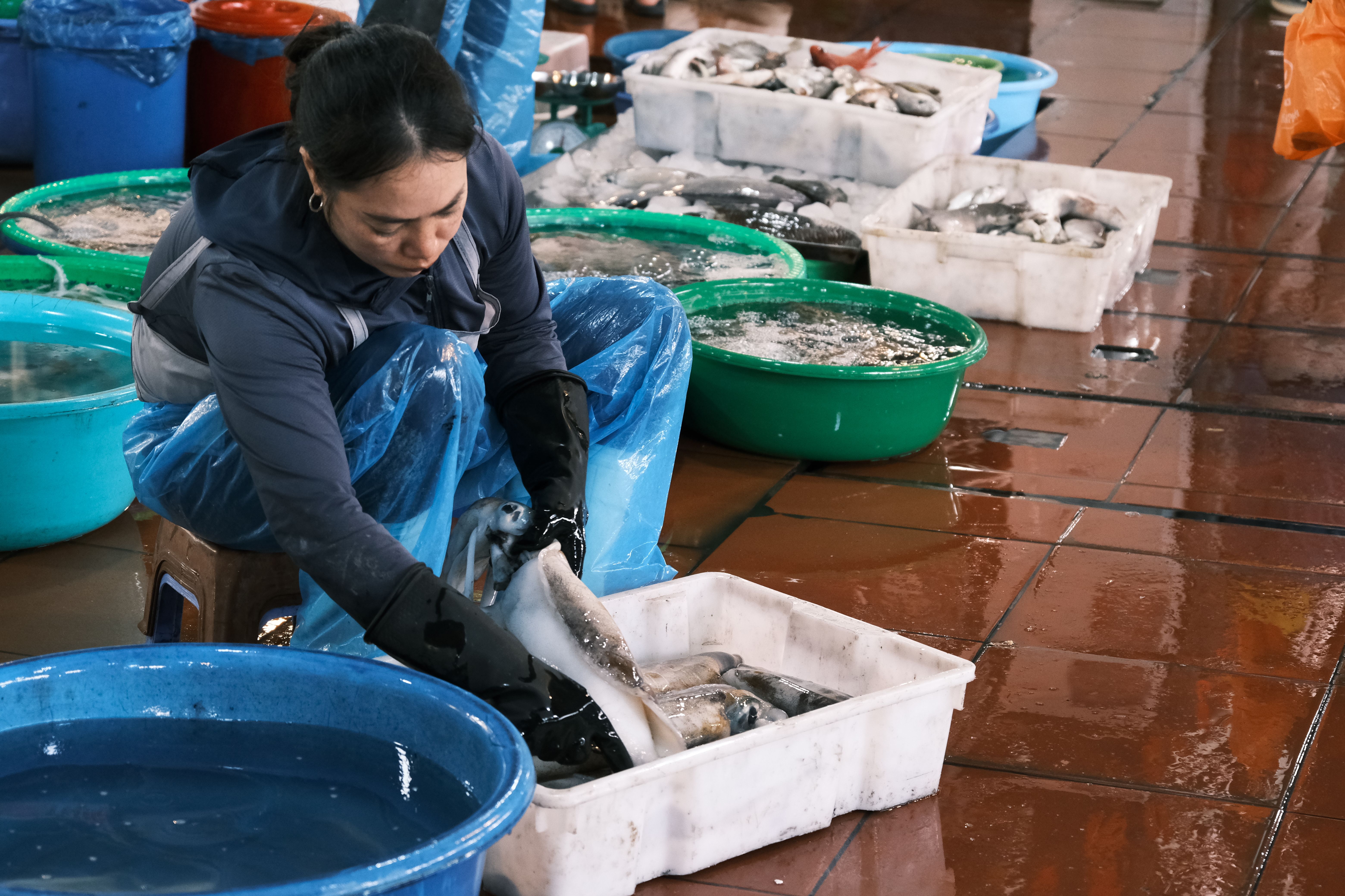 Soft Market Emerges as Commercial Insurance Premiums Flatten in Q4 2025 — Photo by Đạt Nguyễn on Pexels