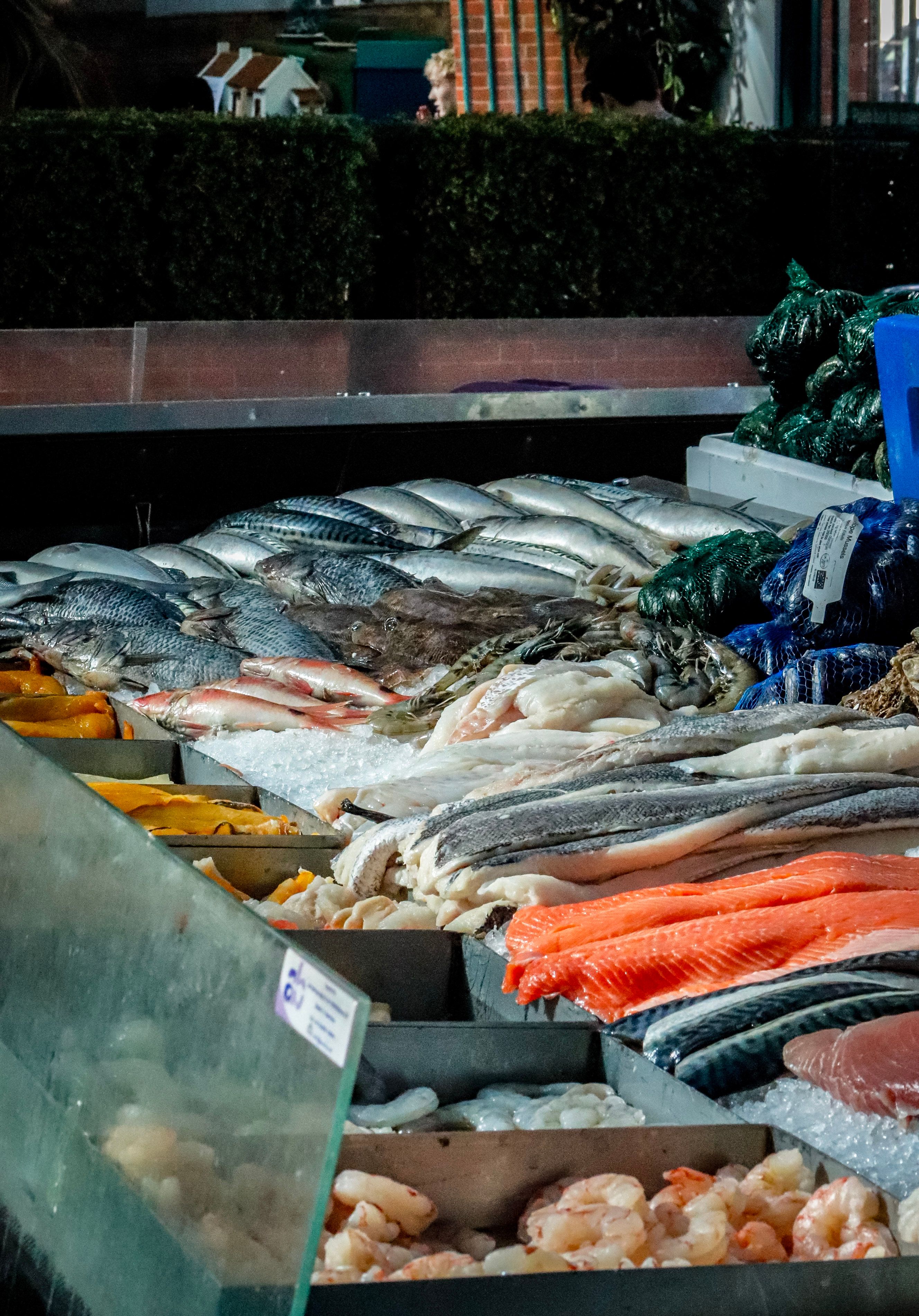 Haddock