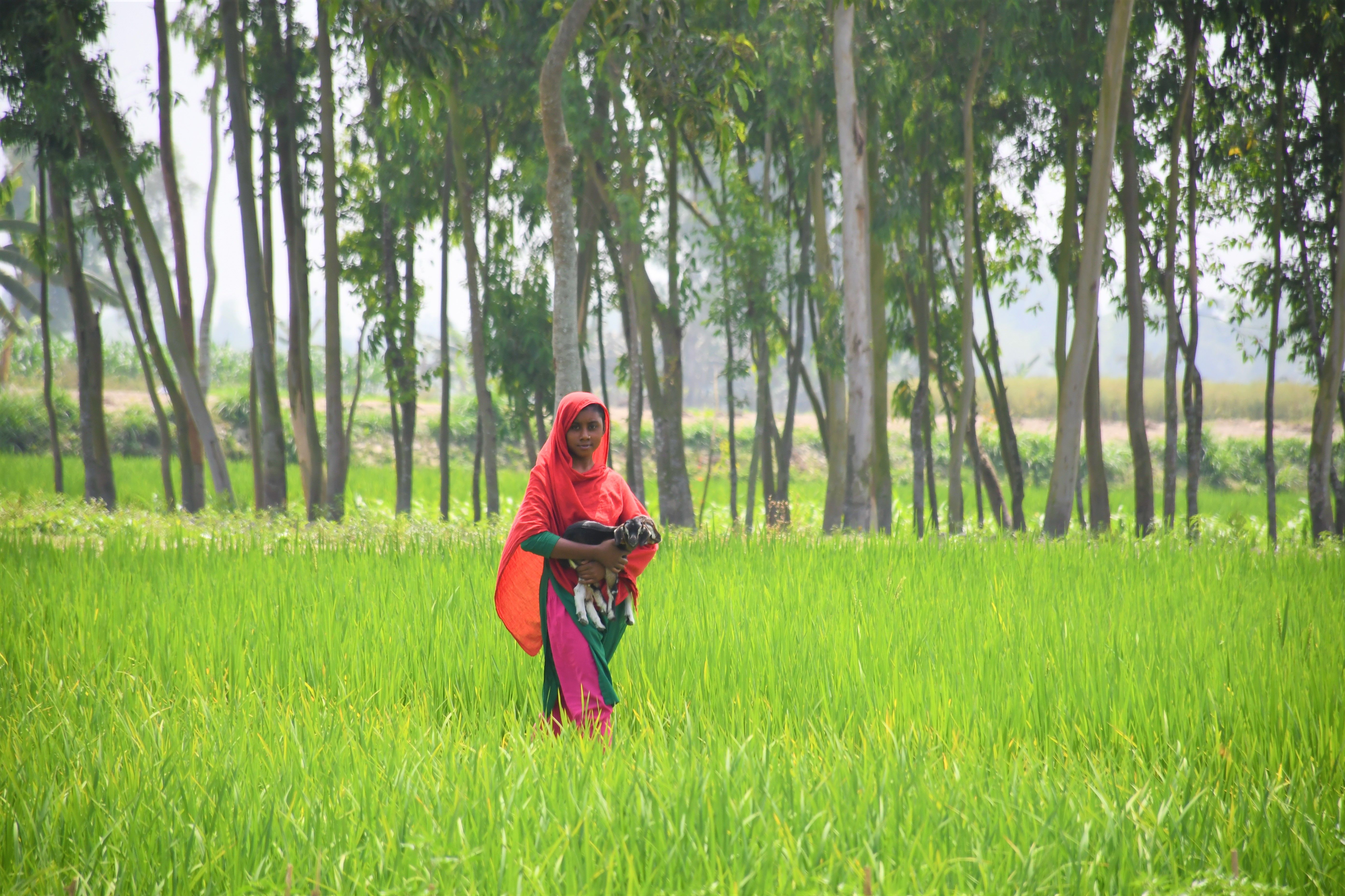 Pashmina Shawls from Bangladesh