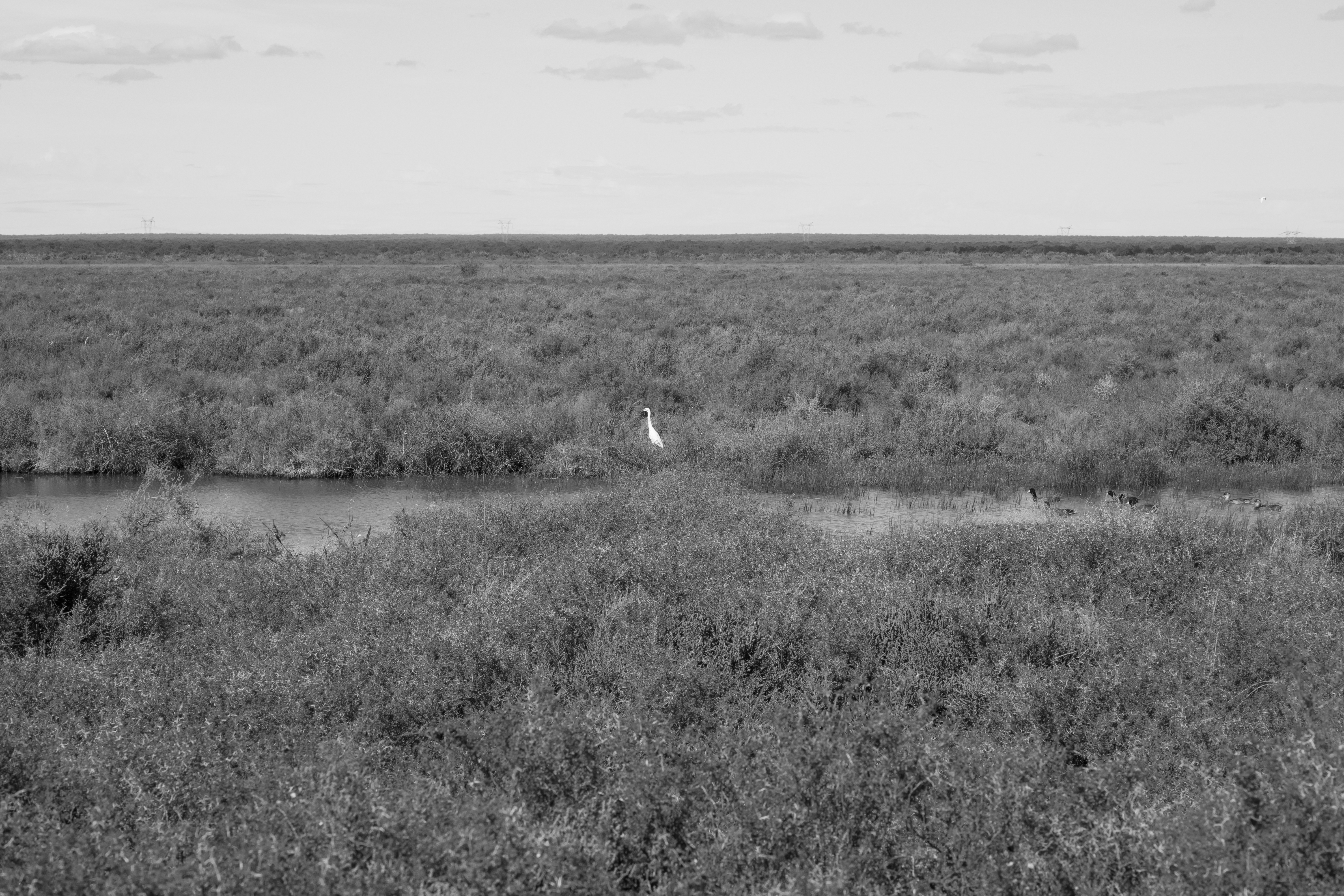 bald eagle river Oklahoma