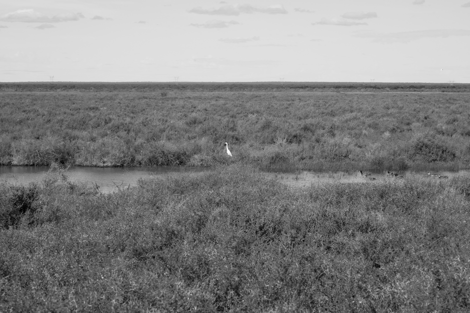 bald eagle river Oklahoma