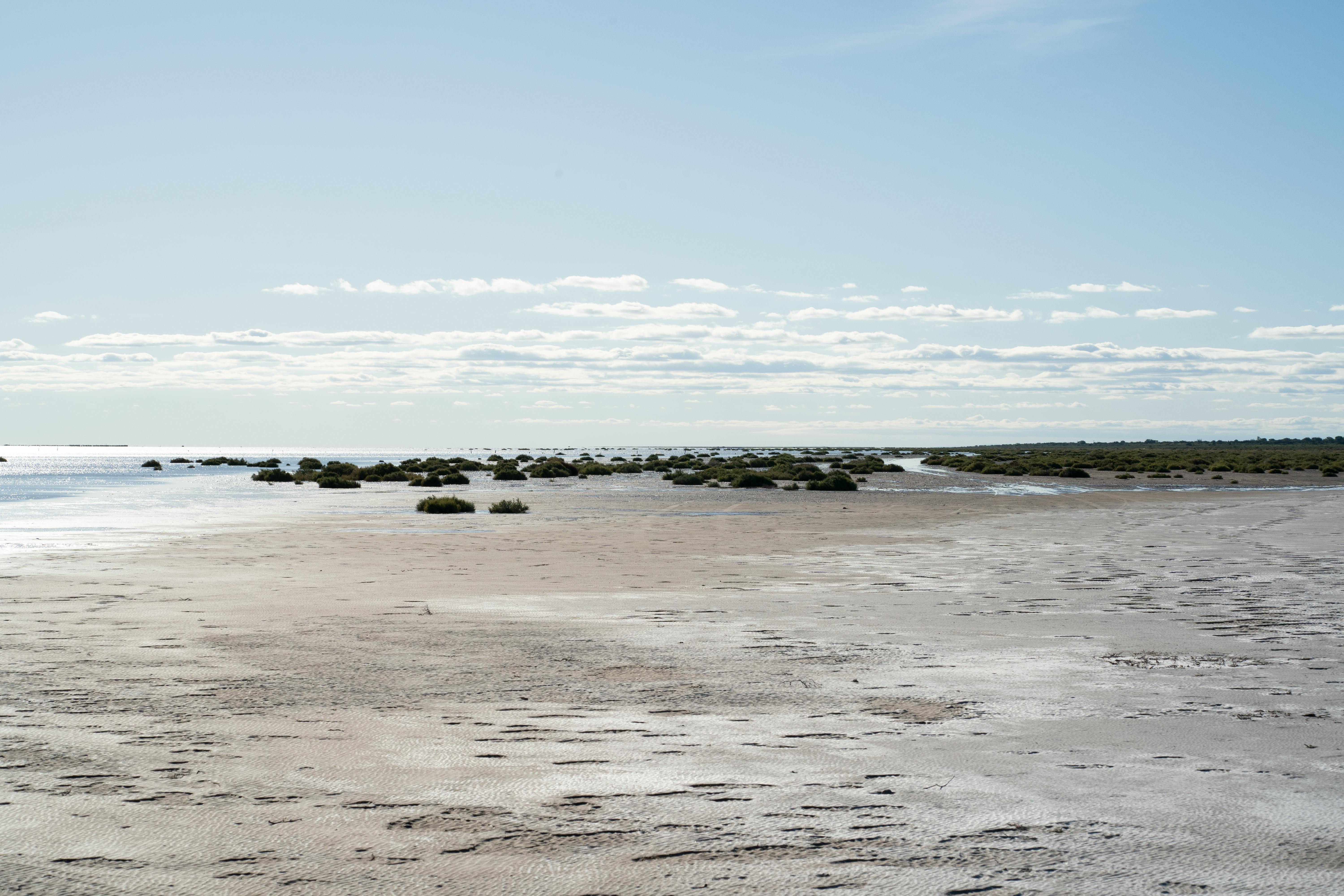 A vast and serene view of the salt flats in Córdoba, Argentina under a clear sky.