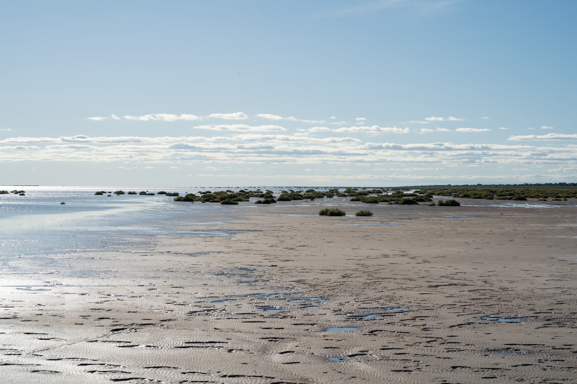 A peaceful view of the salt flats in Córdoba, Argentina under a clear blue sky.