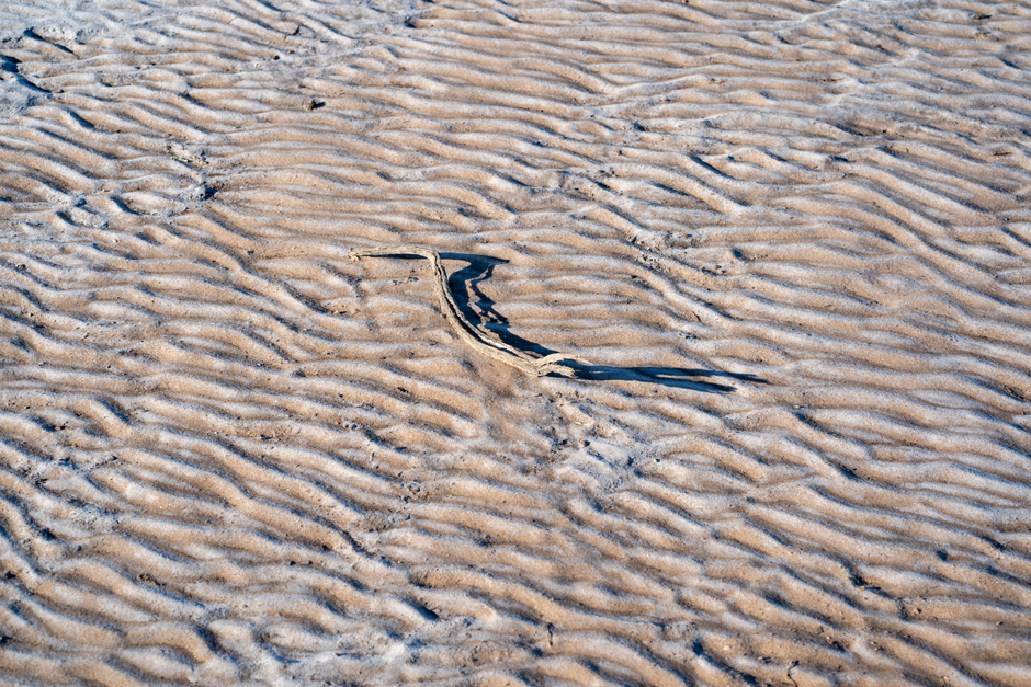 Rippled salt flats with unique textures in Córdoba, Argentina.