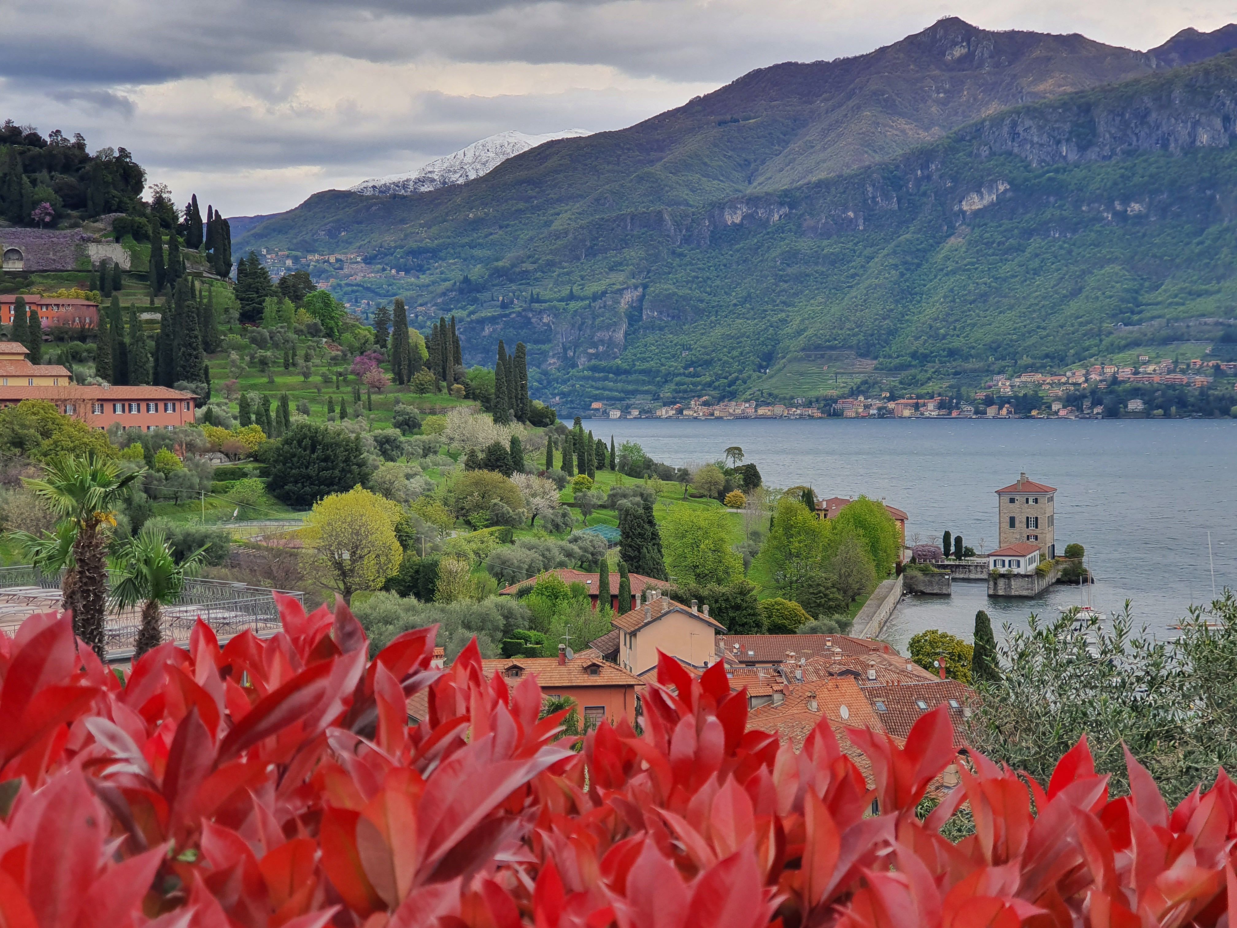 Scenic Lake Como View with Spring Foliage · Free Stock Photo