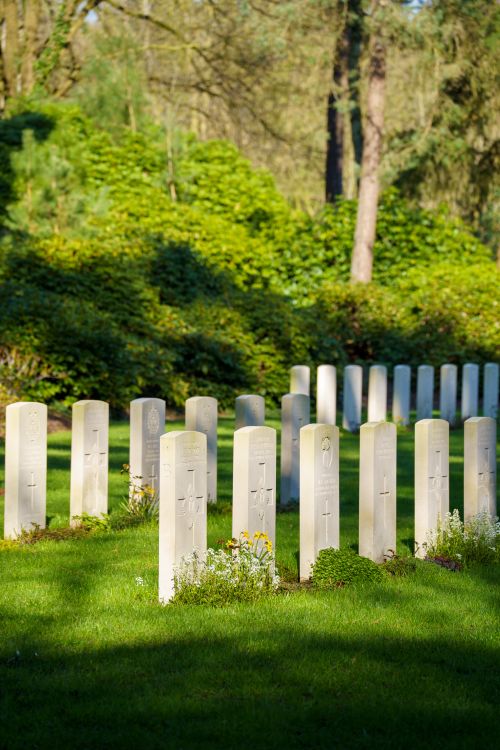 Free Peaceful cemetery scene with aligned headstones, surrounded by lush greenery in spring light. Stock Photo