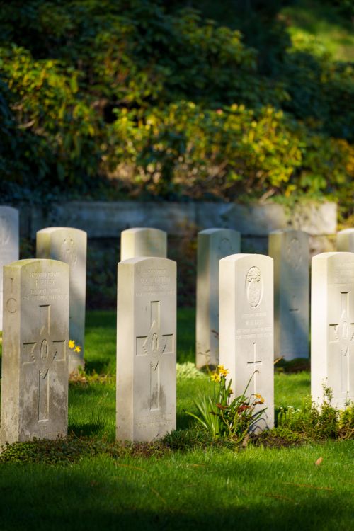 Free Sunlit gravestones in a peaceful cemetery setting surrounded by green foliage. Stock Photo